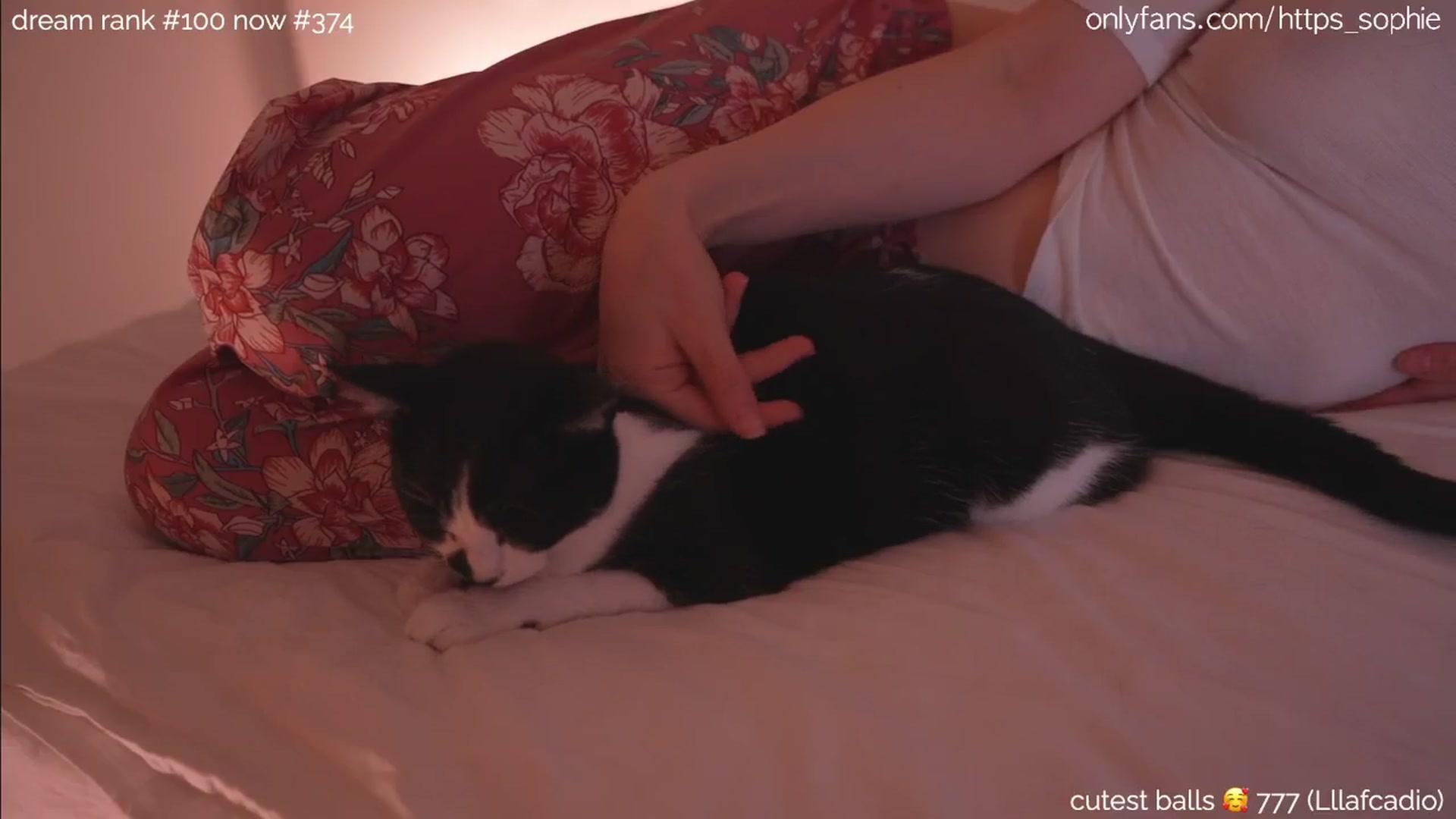 Gallery image thumbnail from sleepwanker's myfreecams stream on, 06/20/2024, 24:05 image 13 of 20