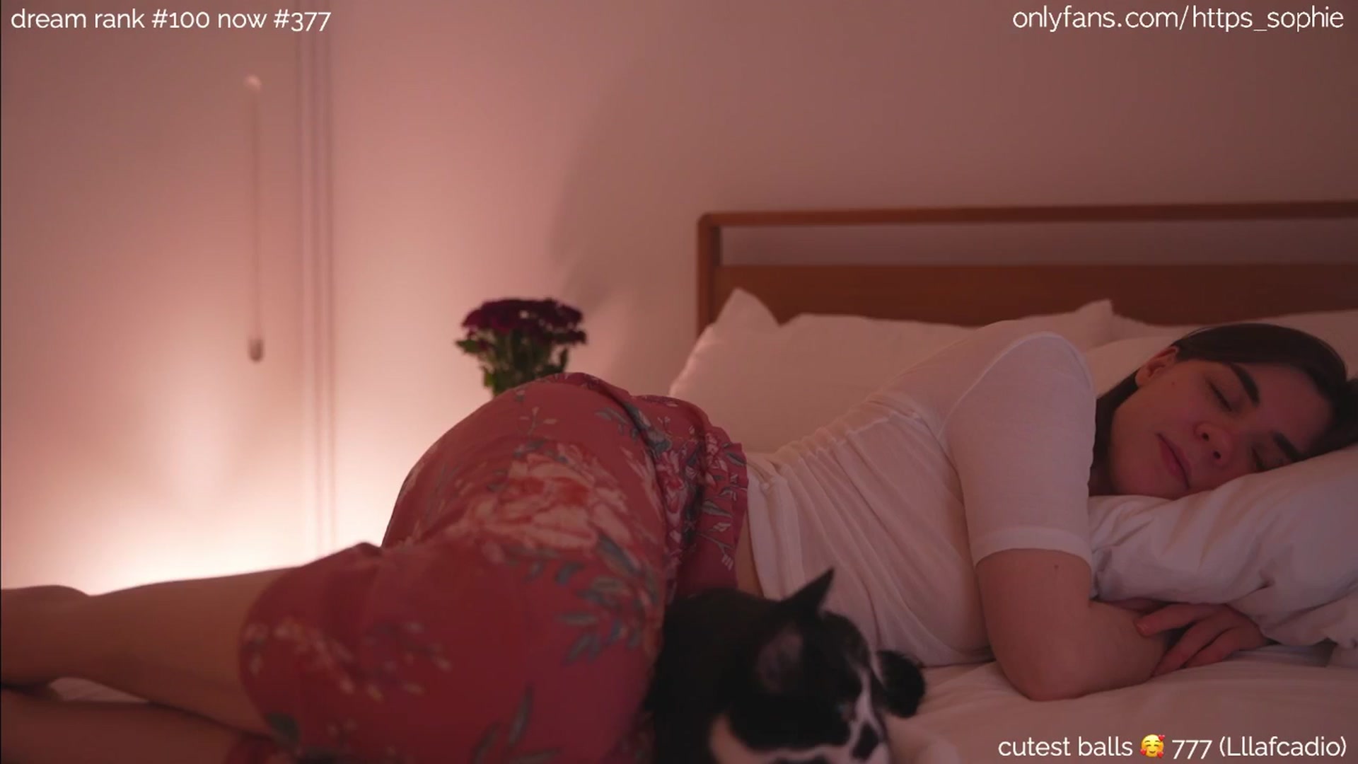 Gallery image thumbnail from sleepwanker's myfreecams stream on, 06/20/2024, 24:05 image 20 of 20