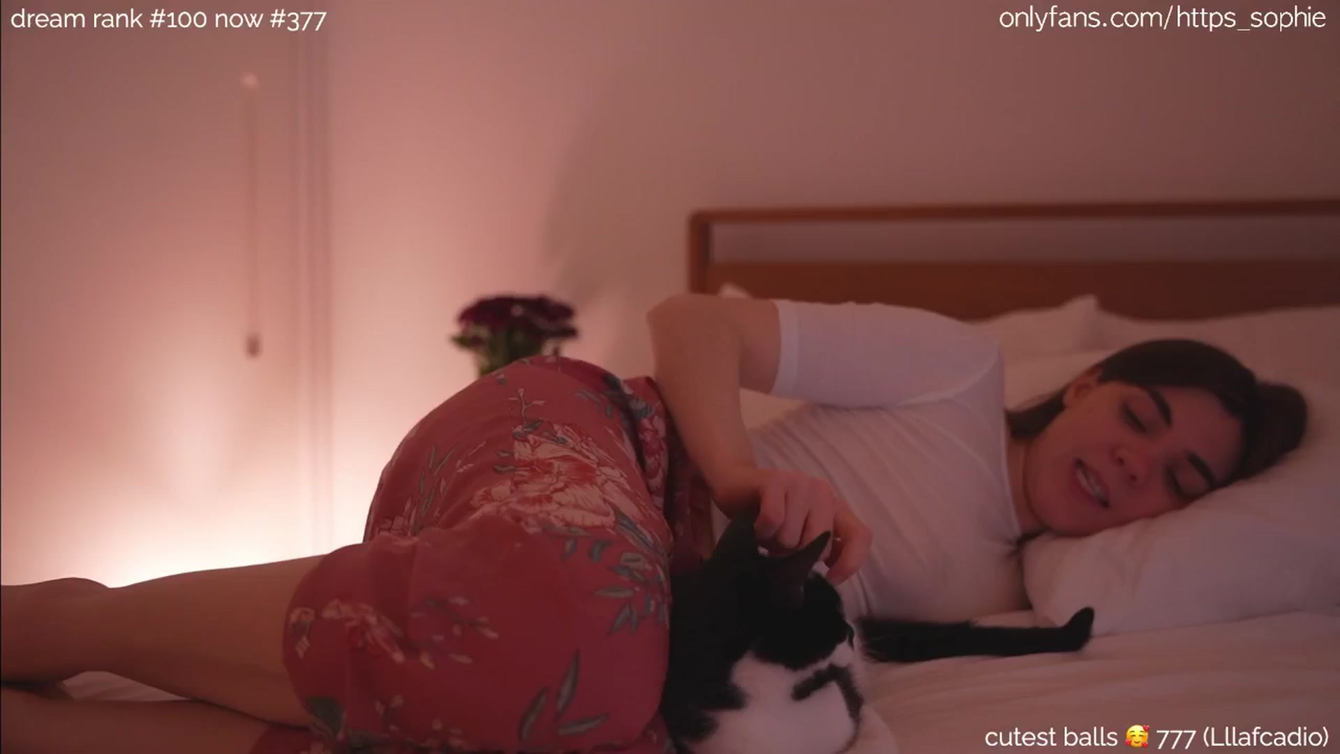 Gallery image thumbnail from sleepwanker's myfreecams stream on, 06/20/2024, 01:55 image 12 of 20