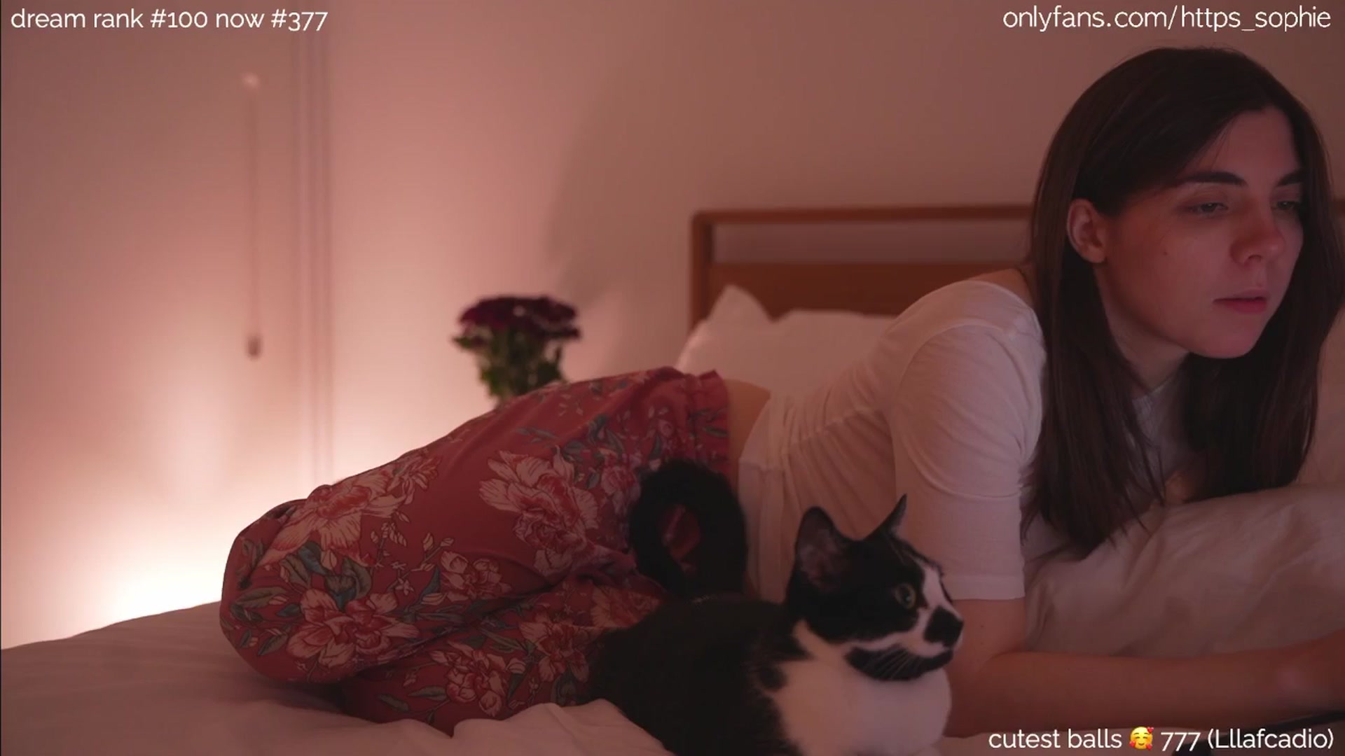 Gallery image thumbnail from sleepwanker's myfreecams stream on, 06/20/2024, 01:55 image 16 of 20