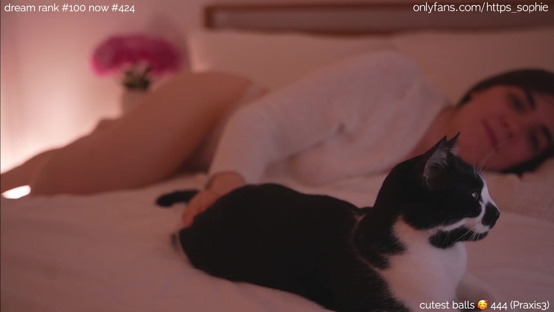 Gallery image thumbnail from sleepwanker's myfreecams stream on, 06/22/2024, 02:00 image 7 of 20