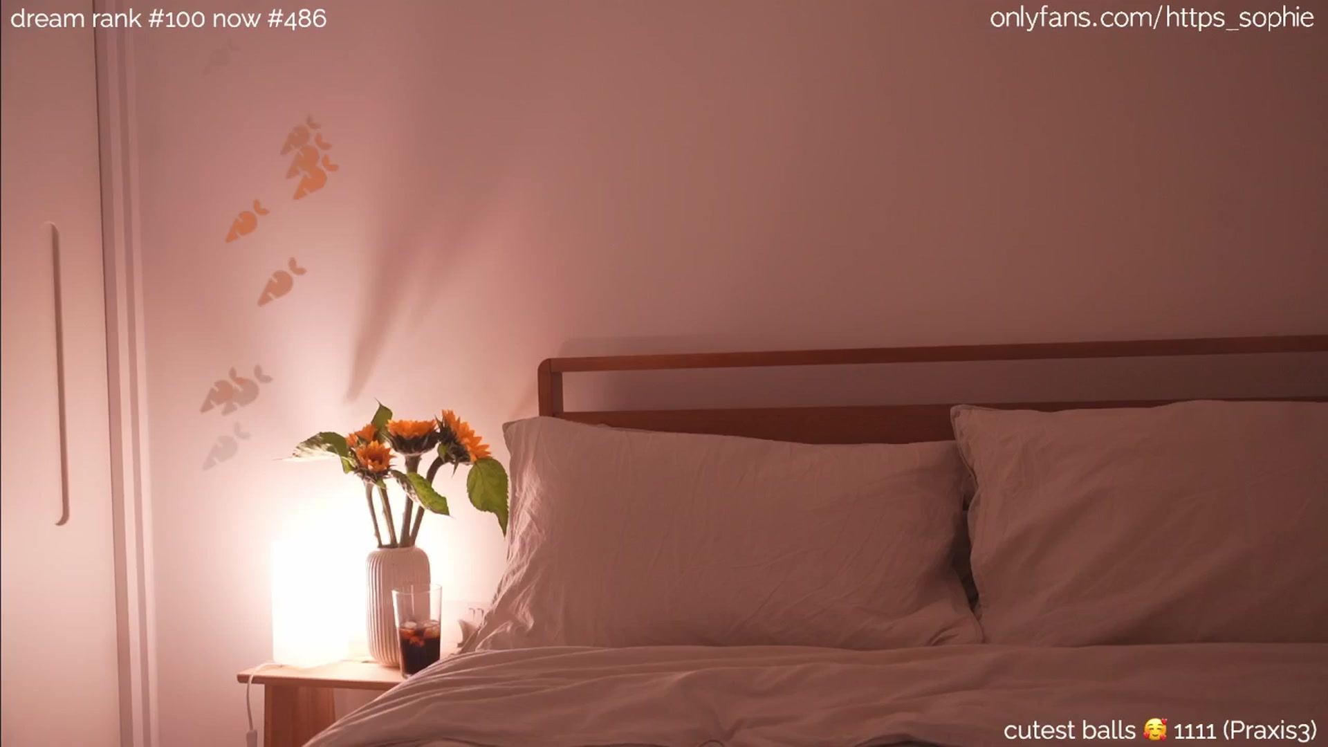 Gallery image thumbnail from sleepwanker's myfreecams stream on, 06/29/2024, 24:01 image 16 of 20