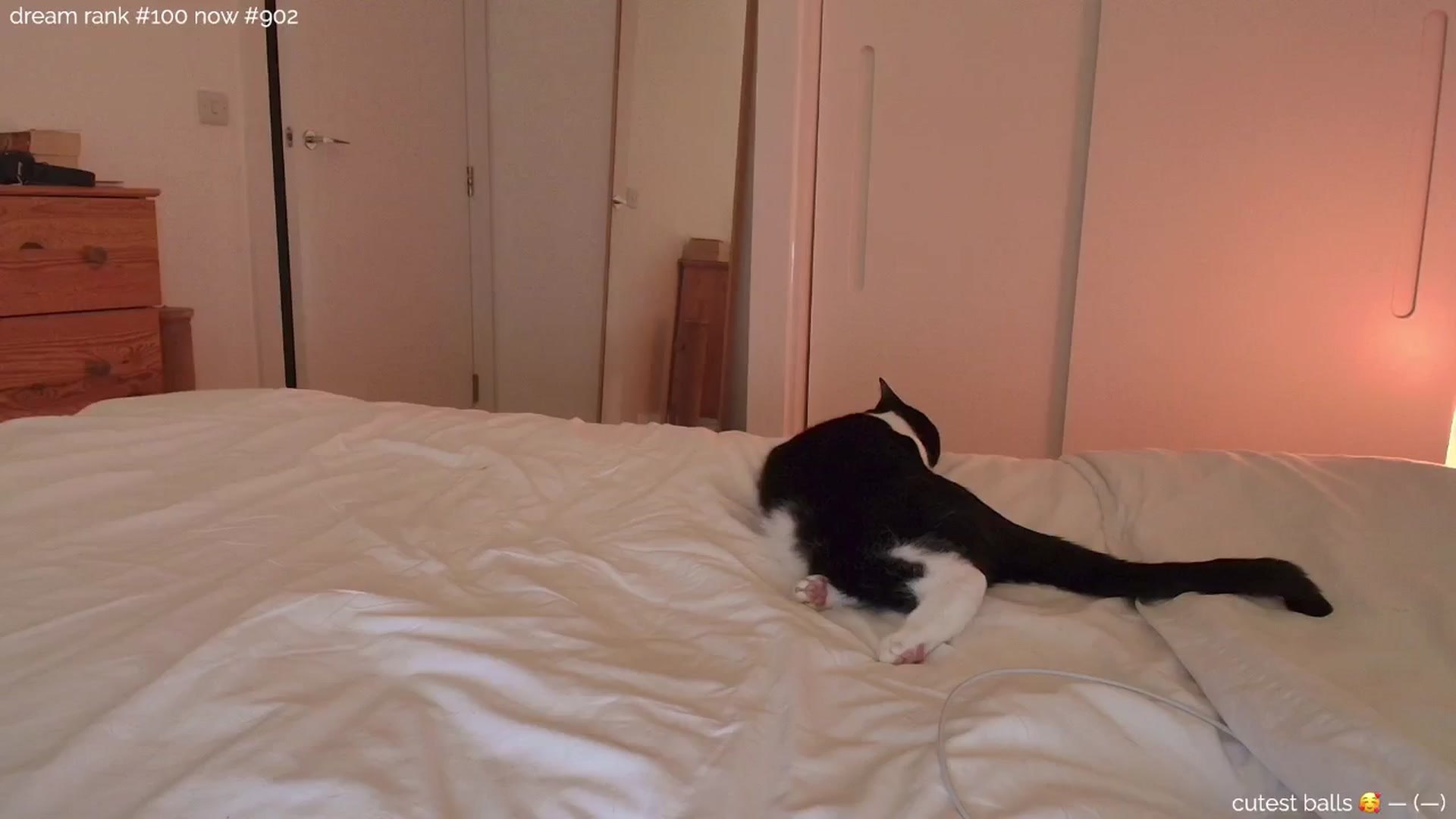 Gallery image thumbnail from sleepwanker's myfreecams stream on, 11/26/2024, 24:04 image 9 of 20