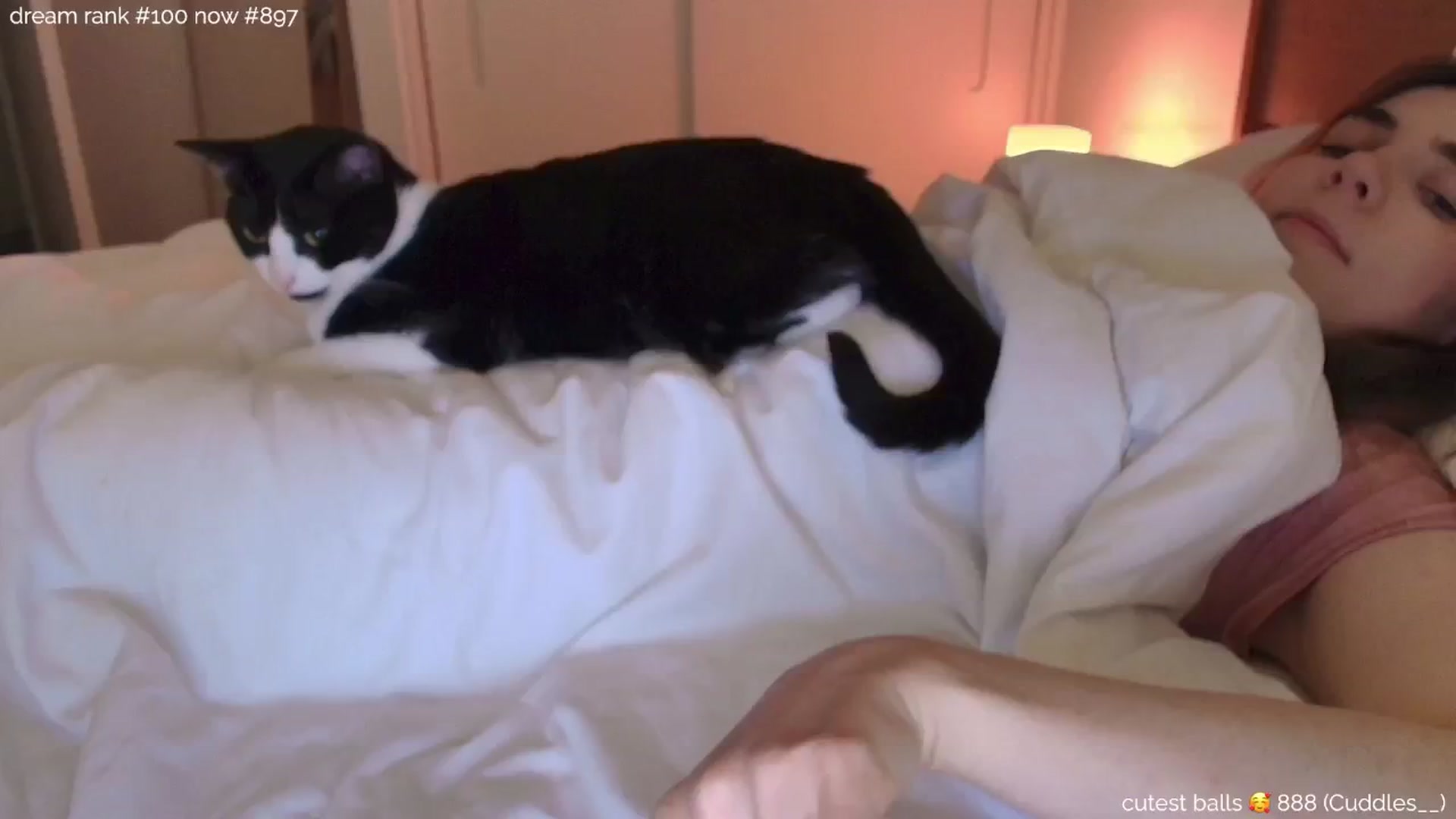 Gallery image thumbnail from sleepwanker's myfreecams stream on, 11/27/2024, 01:50 image 16 of 20