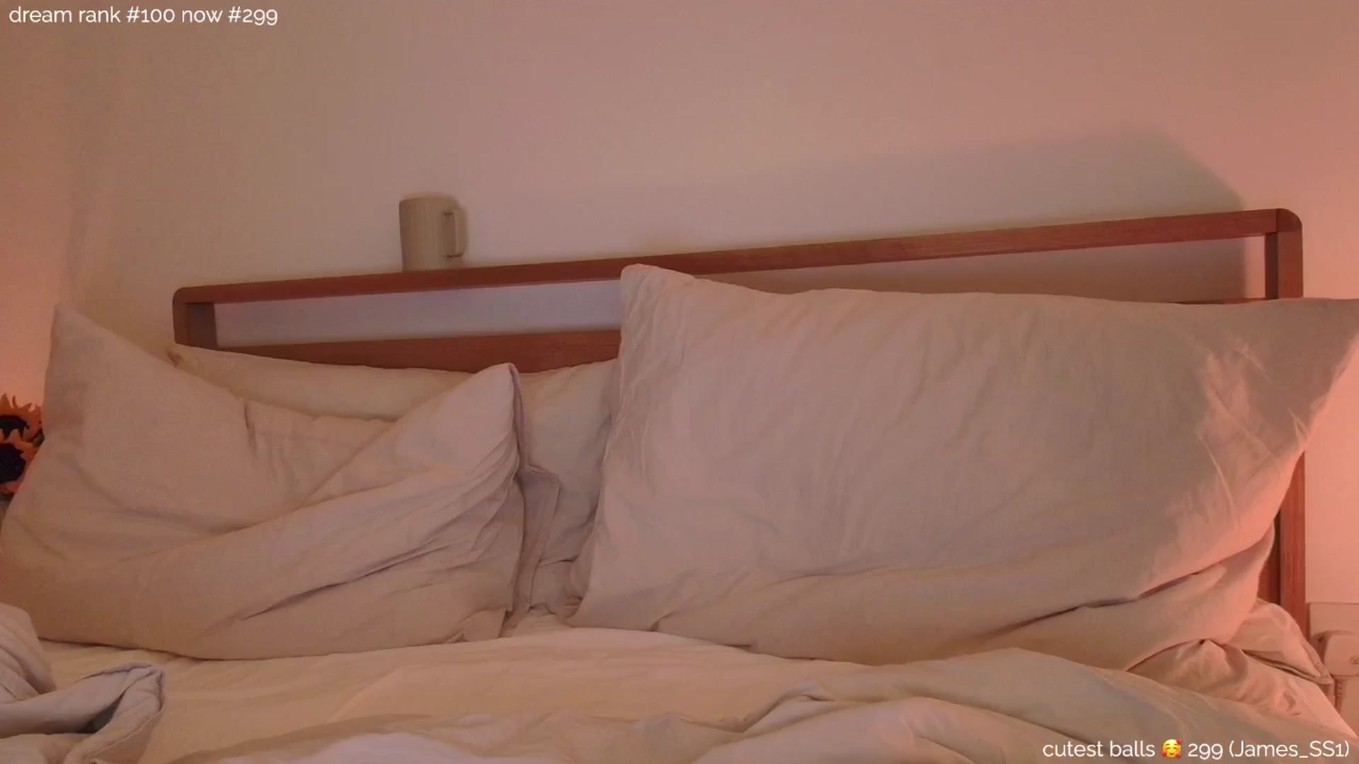 Gallery image thumbnail from sleepwanker's myfreecams stream on, 12/04/2024, 24:29 image 11 of 20