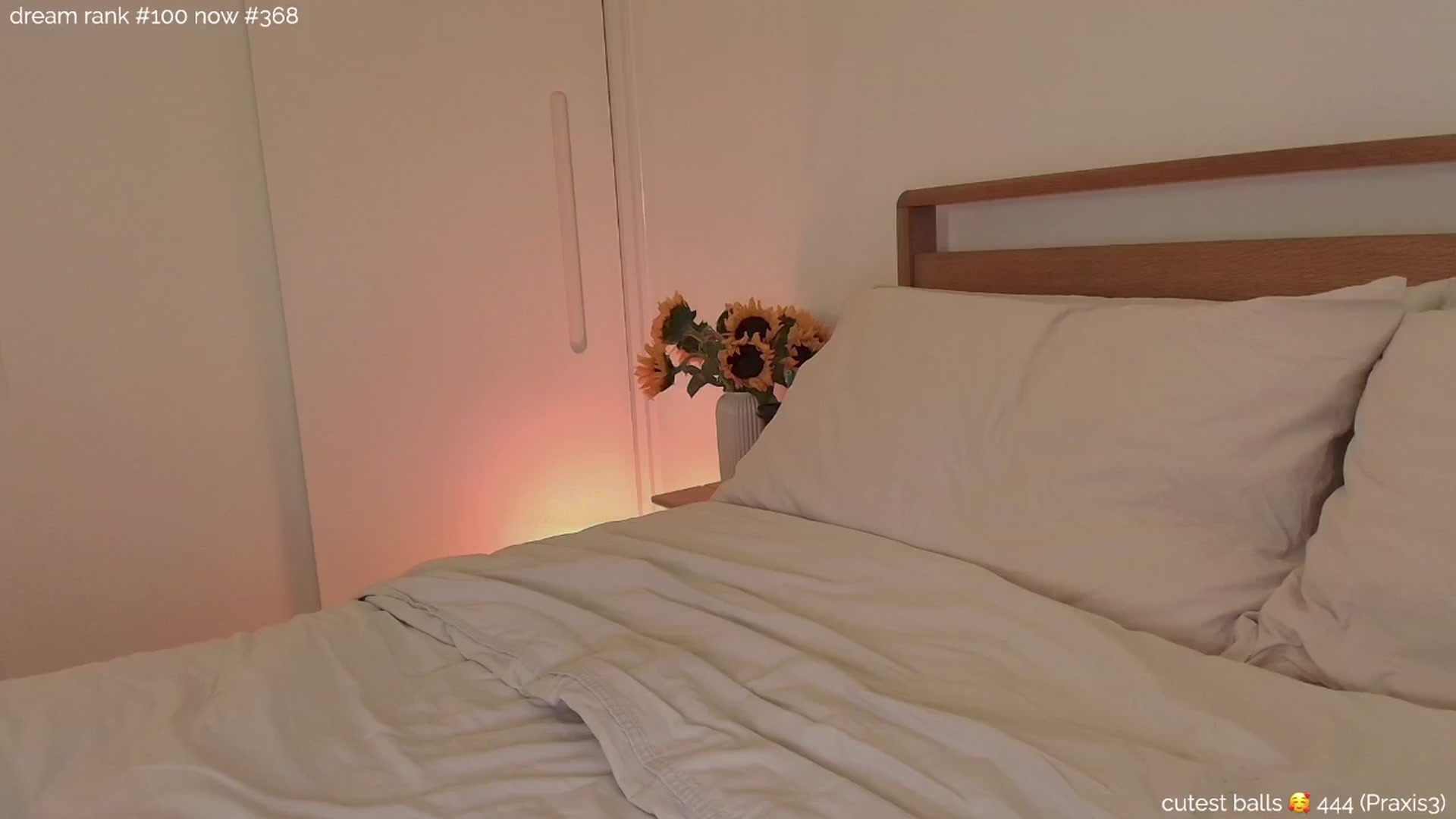 Gallery image thumbnail from sleepwanker's myfreecams stream on, 12/05/2024, 03:23 image 3 of 20