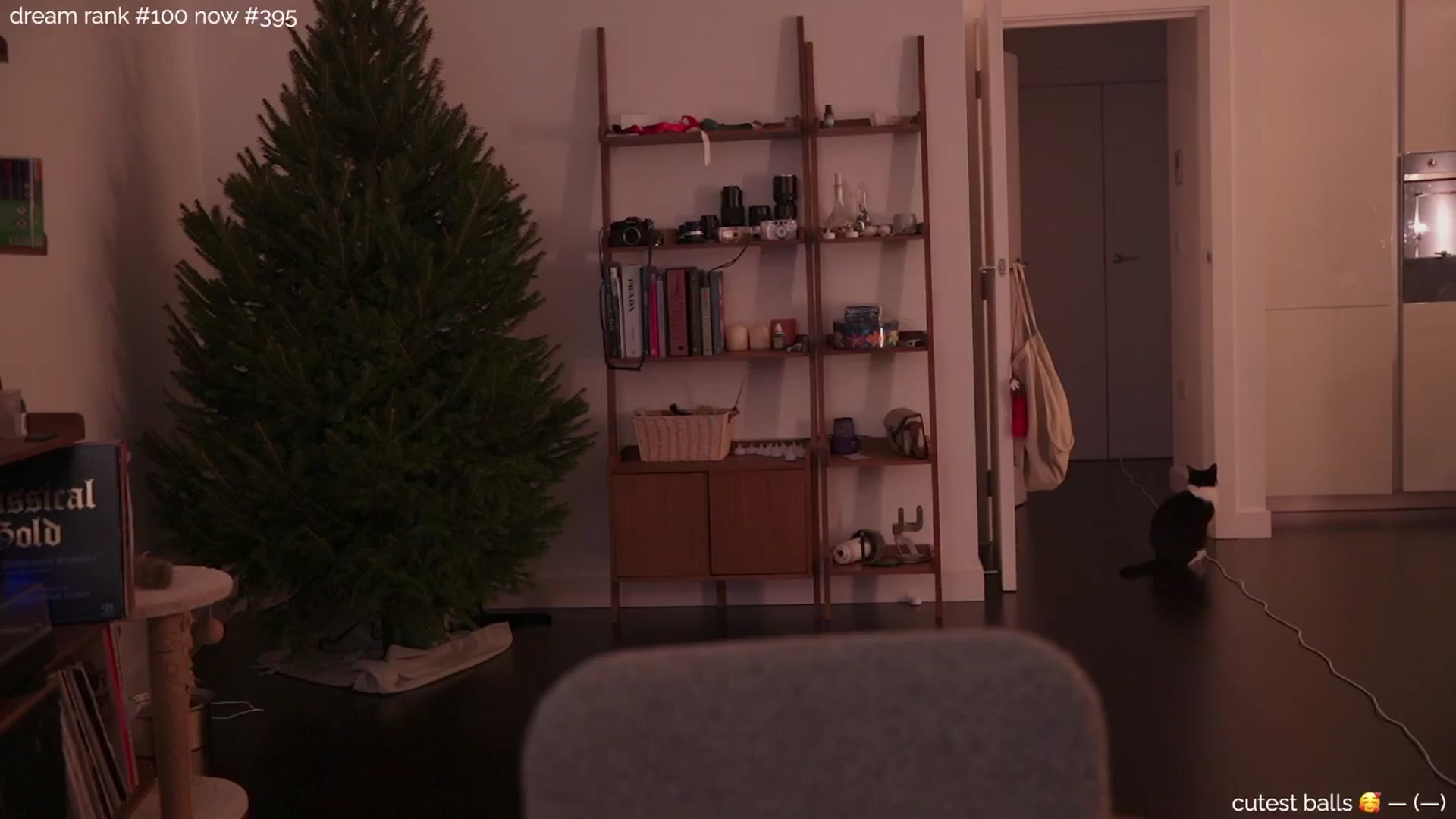 Gallery image thumbnail from sleepwanker's myfreecams stream on, 12/13/2024, 03:29 image 1 of 20