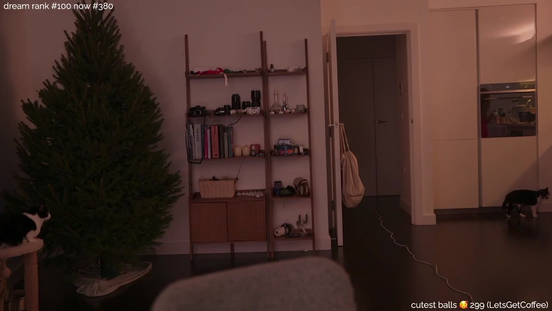 Gallery image thumbnail from sleepwanker's myfreecams stream on, 12/14/2024, 01:47 image 16 of 20