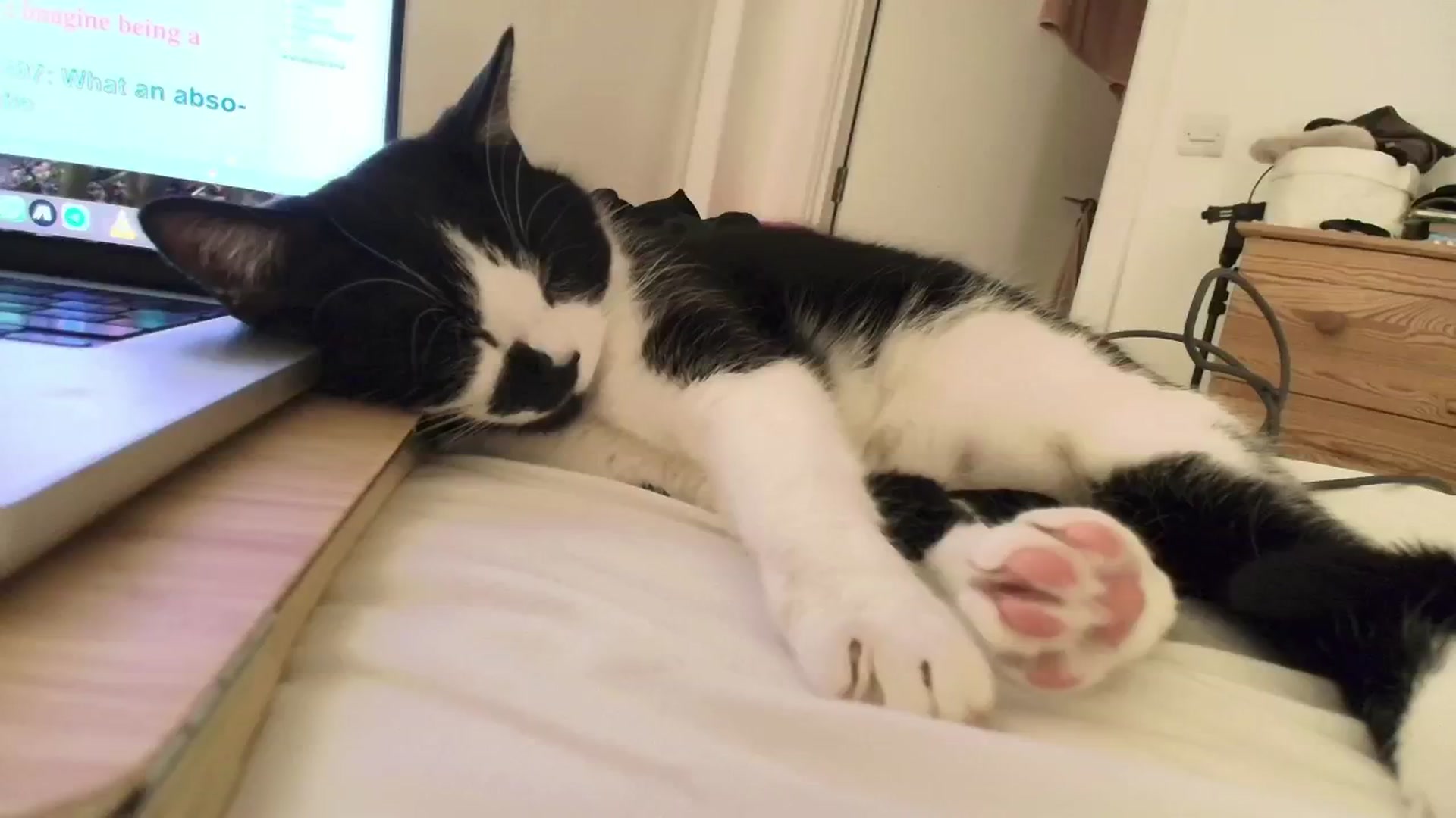 Gallery image thumbnail from sleepwanker's myfreecams stream on, 01/07/2025, 03:33 image 4 of 20