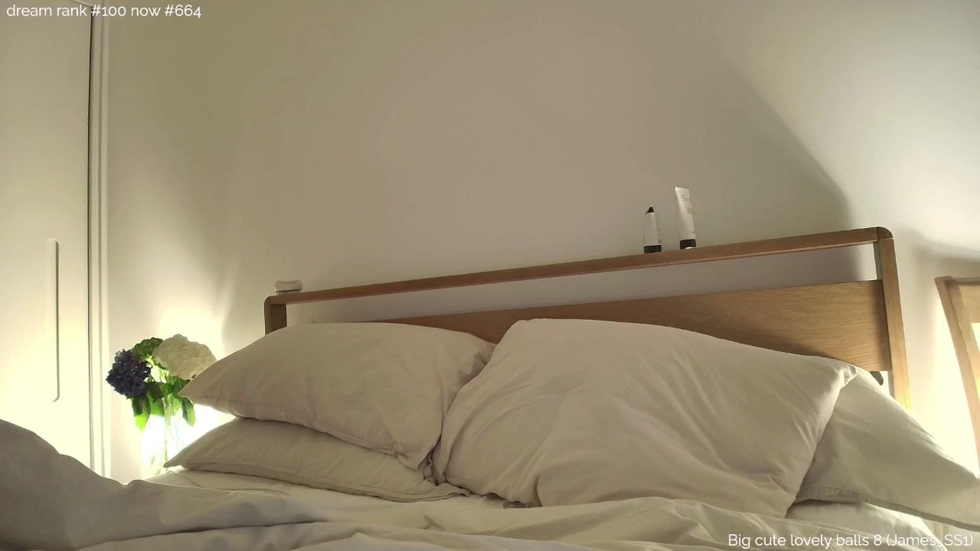 Gallery image thumbnail from sleepwanker's myfreecams stream on, 01/14/2025, 02:24 image 2 of 20