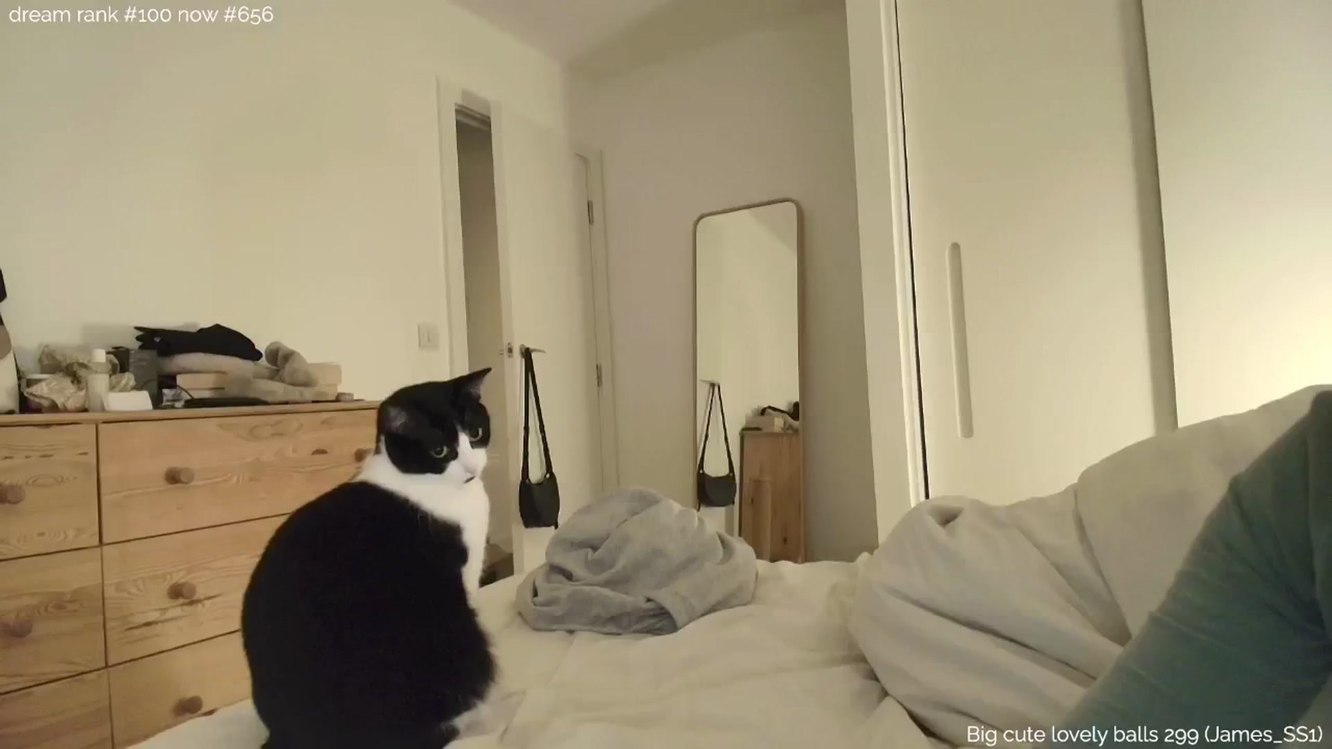 Gallery image thumbnail from sleepwanker's myfreecams stream on, 01/14/2025, 02:24 image 7 of 20