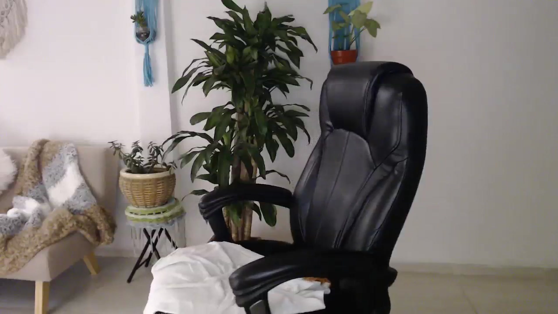 Gallery image thumbnail from slim_pamella's myfreecams stream on, 08/17/2023, 03:17 image 12 of 20