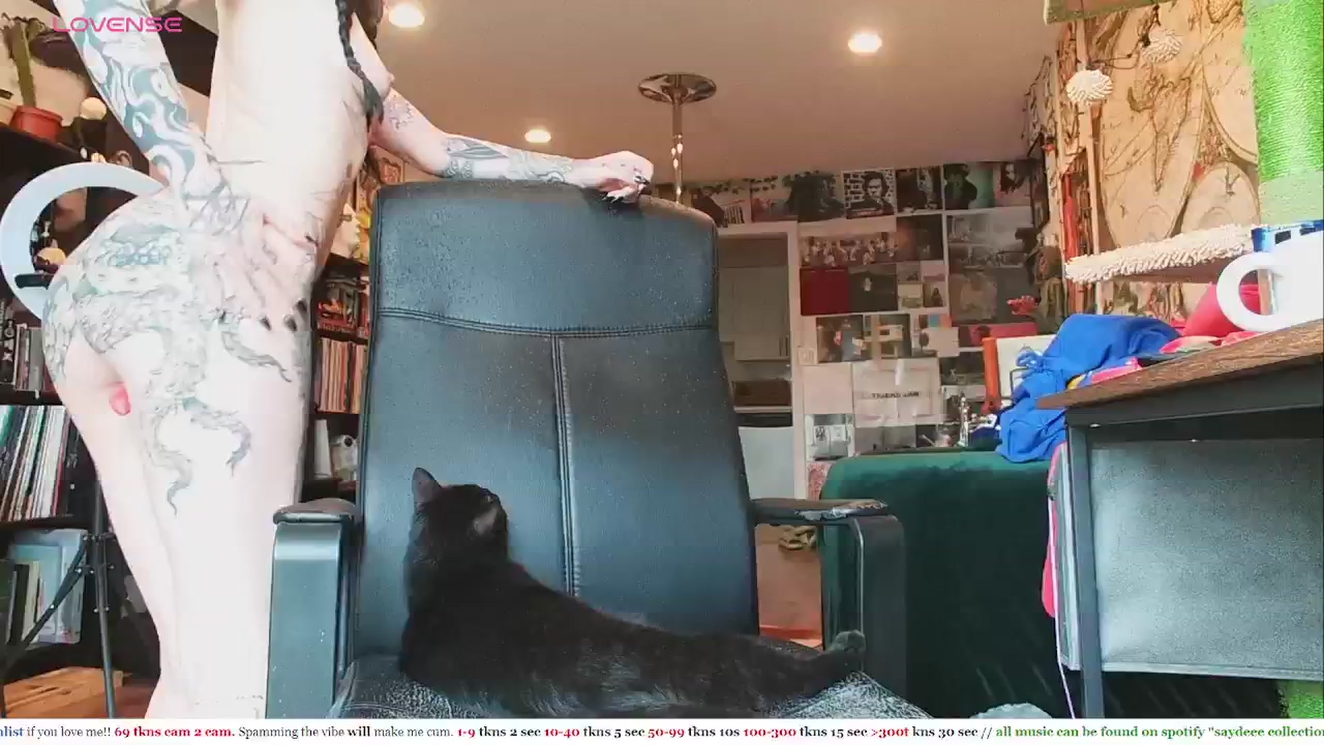 Gallery image thumbnail from slimsaydeee's myfreecams stream on, 05/04/2024, 17:10 image 10 of 20