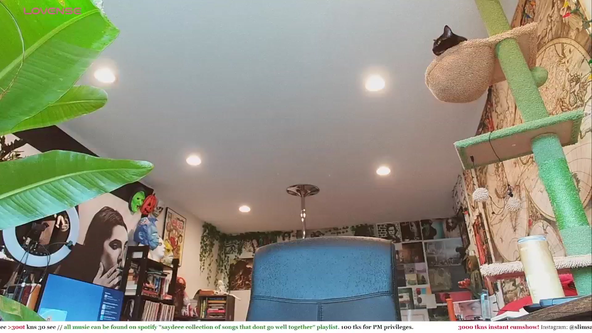Gallery image thumbnail from slimsaydeee's myfreecams stream on, 05/24/2024, 17:48 image 9 of 20