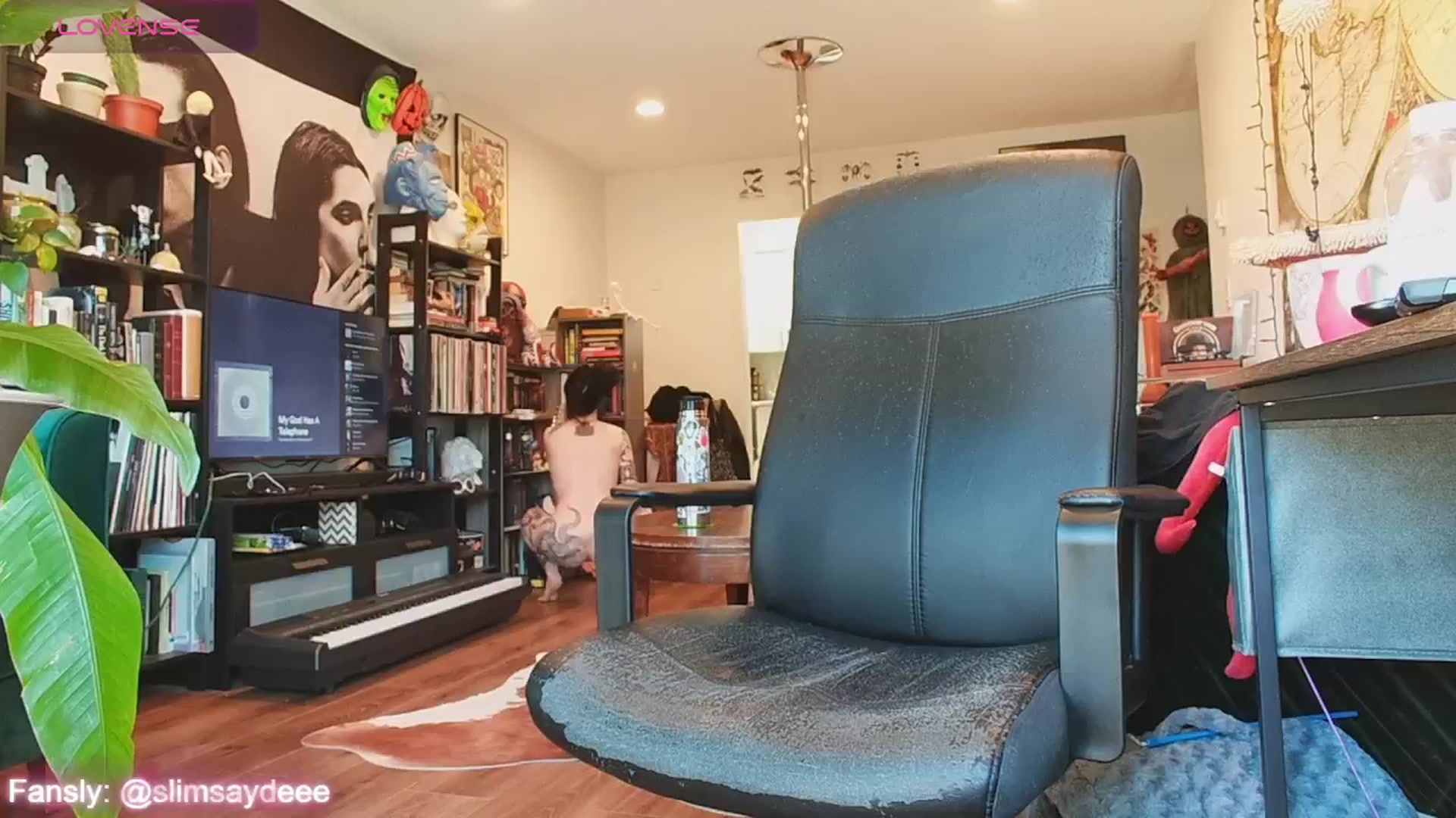 Gallery image thumbnail from slimsaydeee's myfreecams stream on, 07/14/2024, 18:56 image 5 of 20