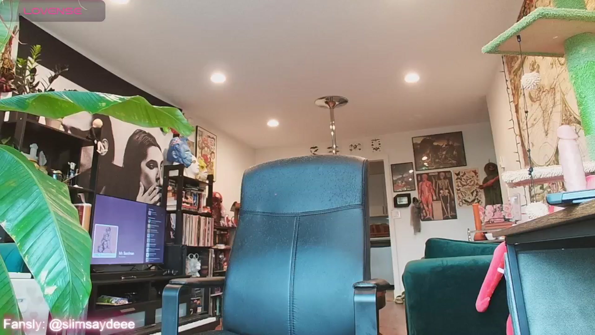 Gallery image thumbnail from slimsaydeee's myfreecams stream on, 07/21/2024, 20:05 image 3 of 20