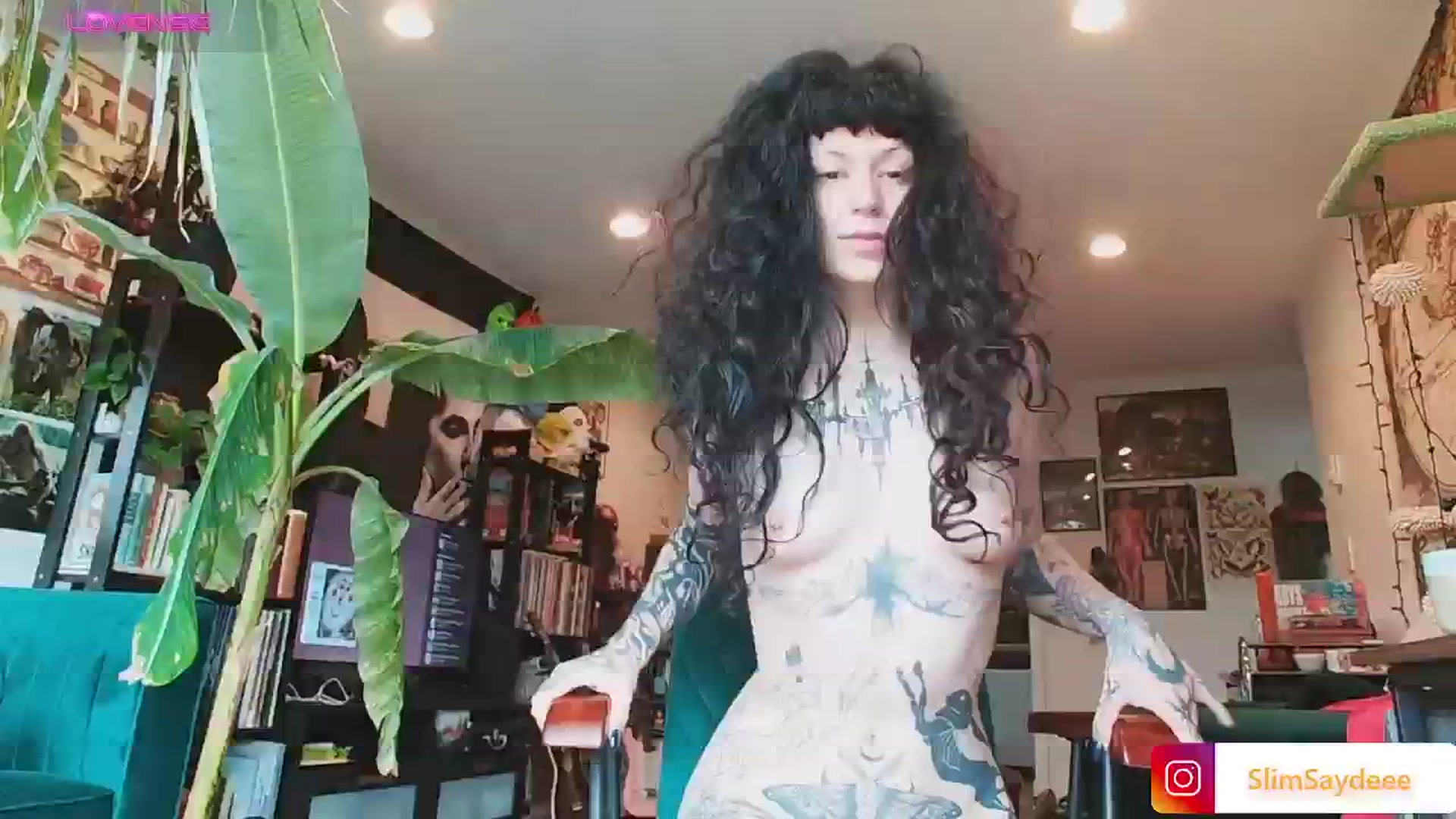 Gallery image thumbnail from slimsaydeee's myfreecams stream on, 09/15/2024, 17:25 image 12 of 20