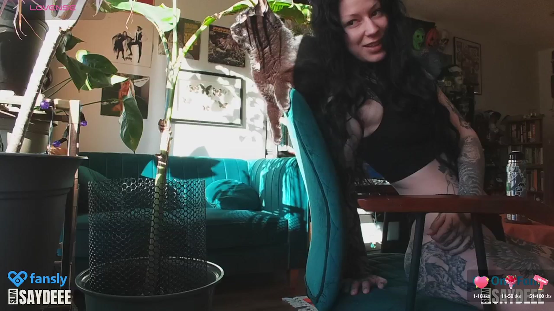 Gallery image thumbnail from slimsaydeee's myfreecams stream on, 01/25/2025, 18:12 image 10 of 20