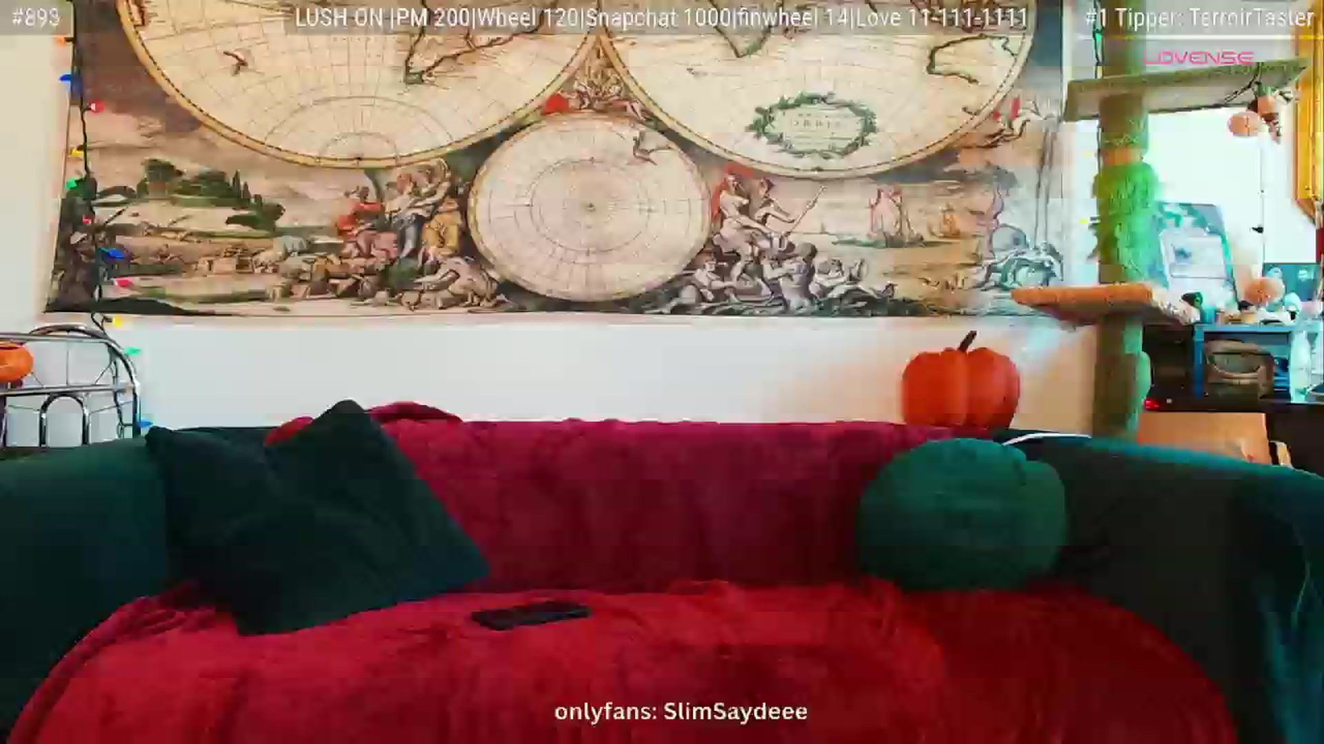 Gallery image thumbnail from slimsaydeee's myfreecams stream on, 06/01/2025, 18:44 image 12 of 20