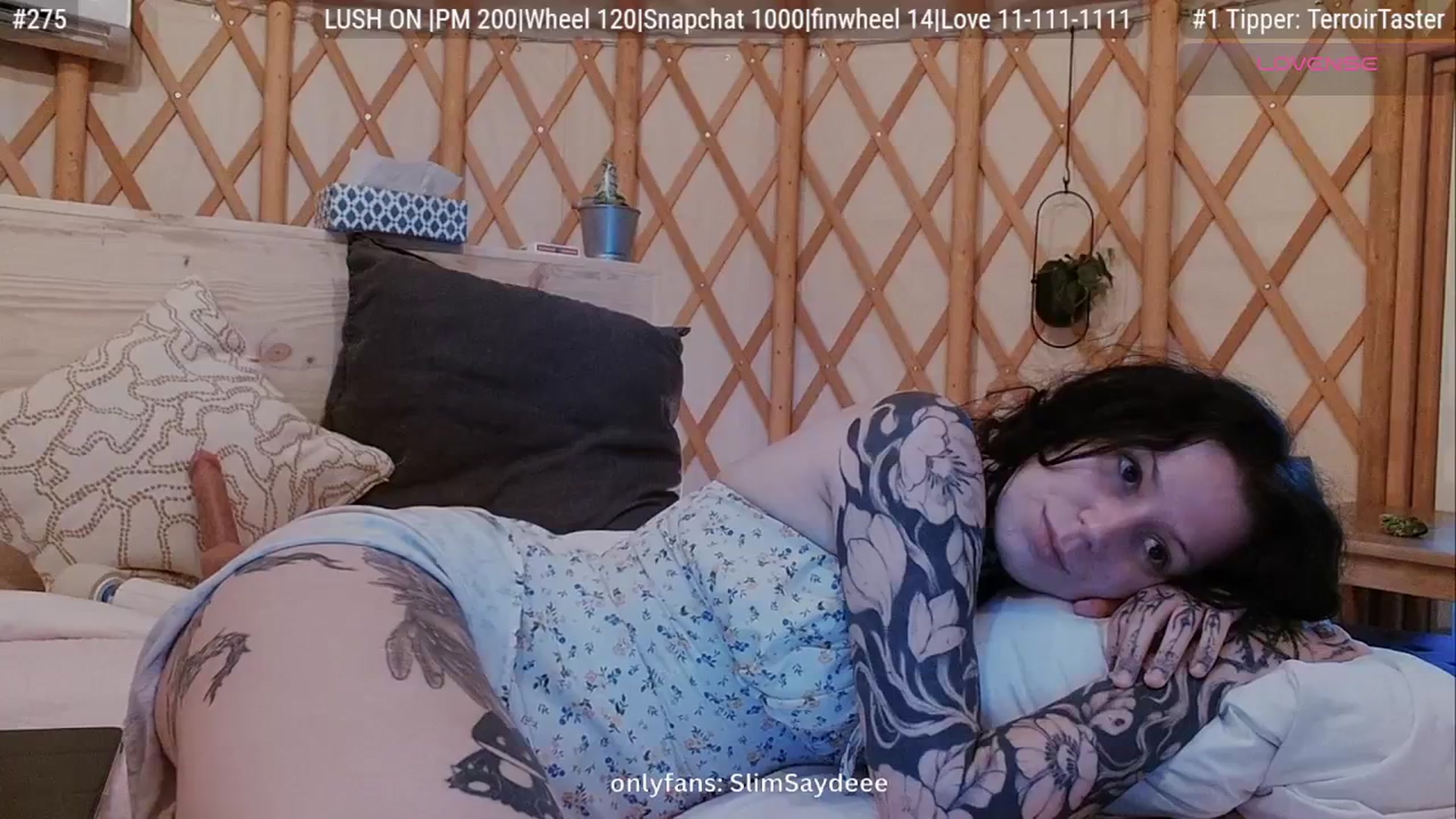 Gallery image thumbnail from slimsaydeee's myfreecams stream on, 07/14/2025, 02:54 image 19 of 20