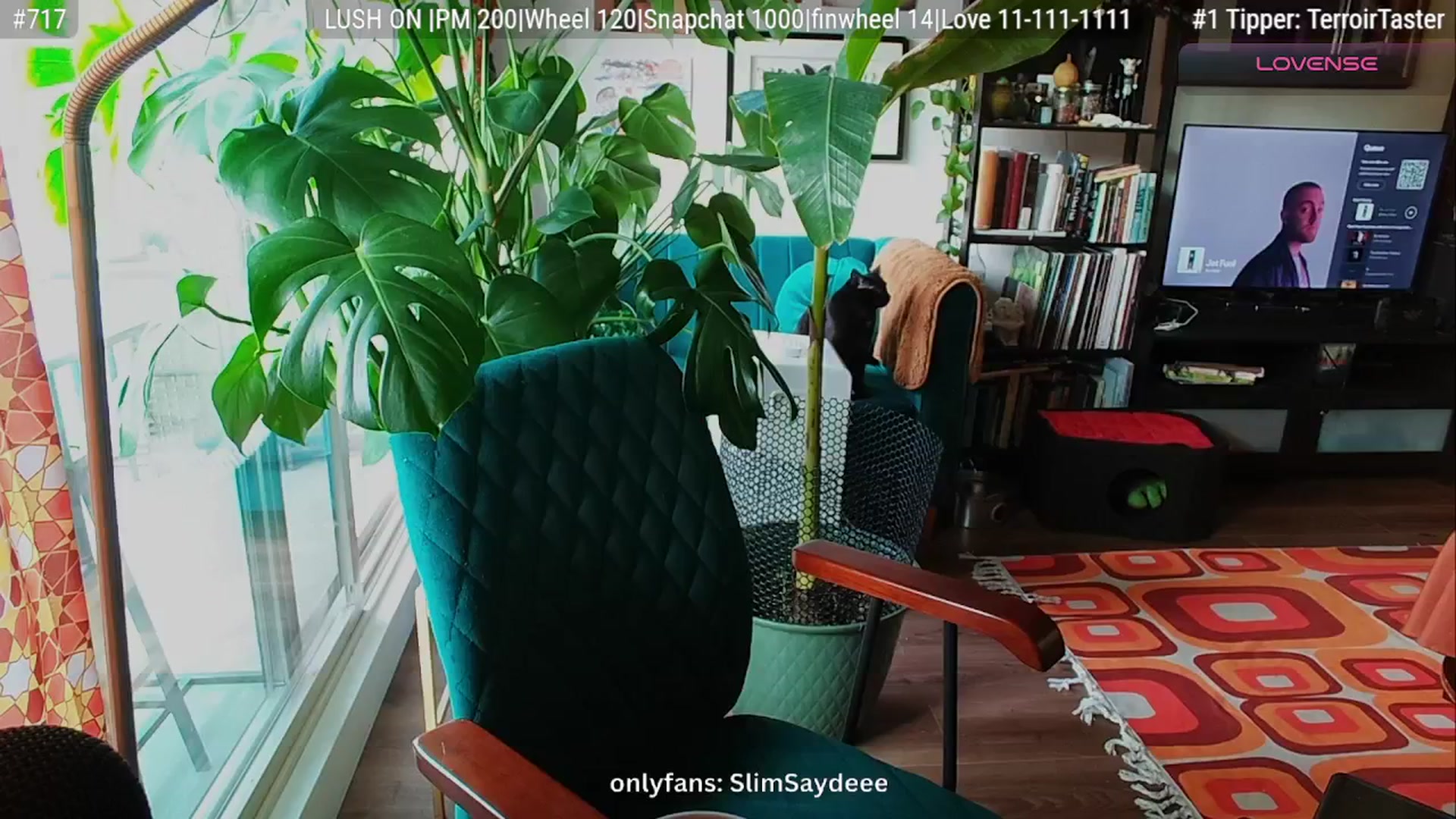 Gallery image thumbnail from slimsaydeee's myfreecams stream on, 08/30/2025, 17:48 image 15 of 20