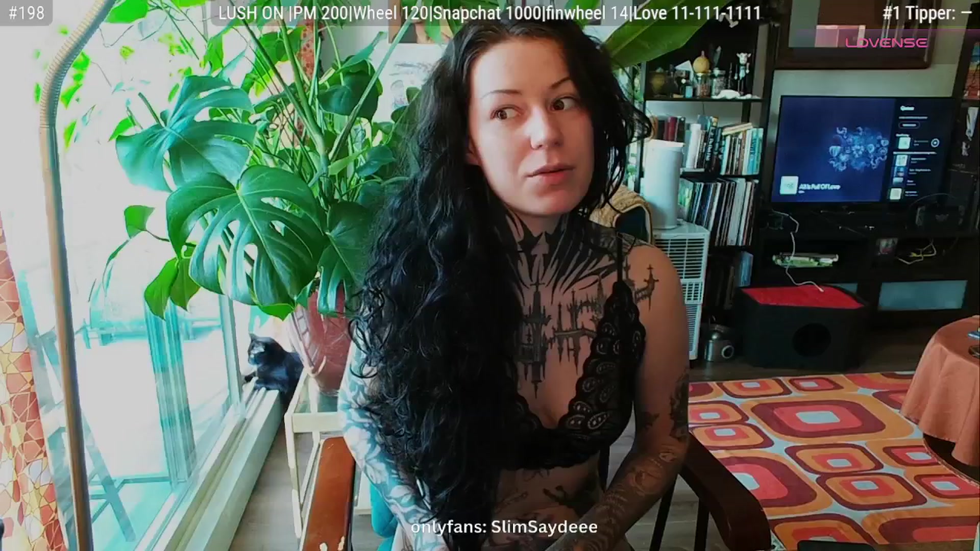 Gallery image thumbnail from slimsaydeee's myfreecams stream on, 09/03/2025, 17:41 image 3 of 20