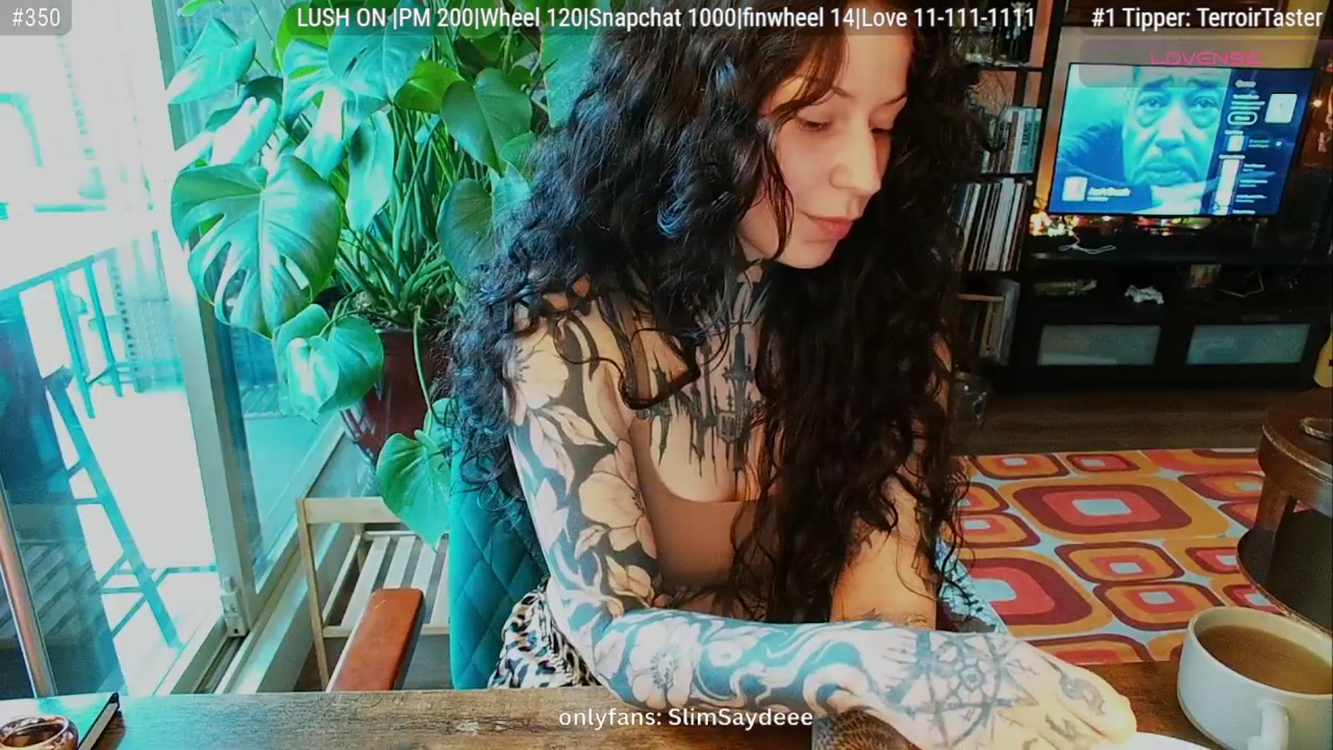 Gallery image thumbnail from slimsaydeee's myfreecams stream on, 09/14/2025, 17:26 image 15 of 20
