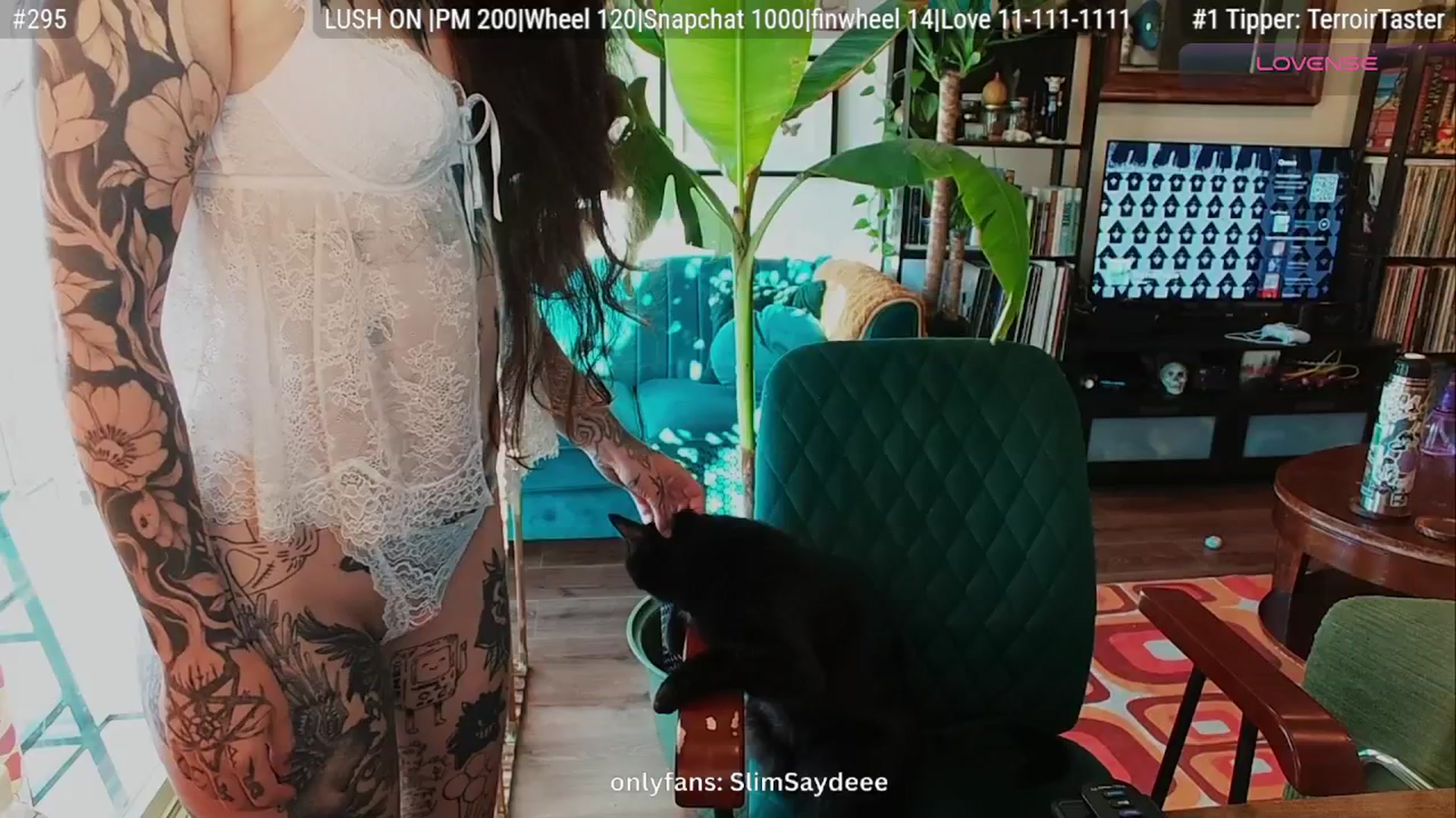Gallery image thumbnail from slimsaydeee's myfreecams stream on, 10/05/2025, 16:59 image 10 of 20