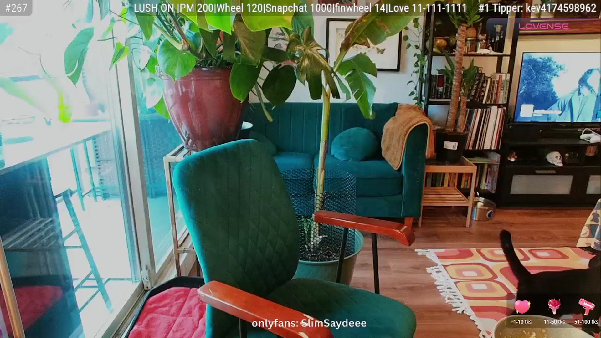 Gallery image thumbnail from slimsaydeee's myfreecams stream on, 11/01/2025, 18:39 image 14 of 20