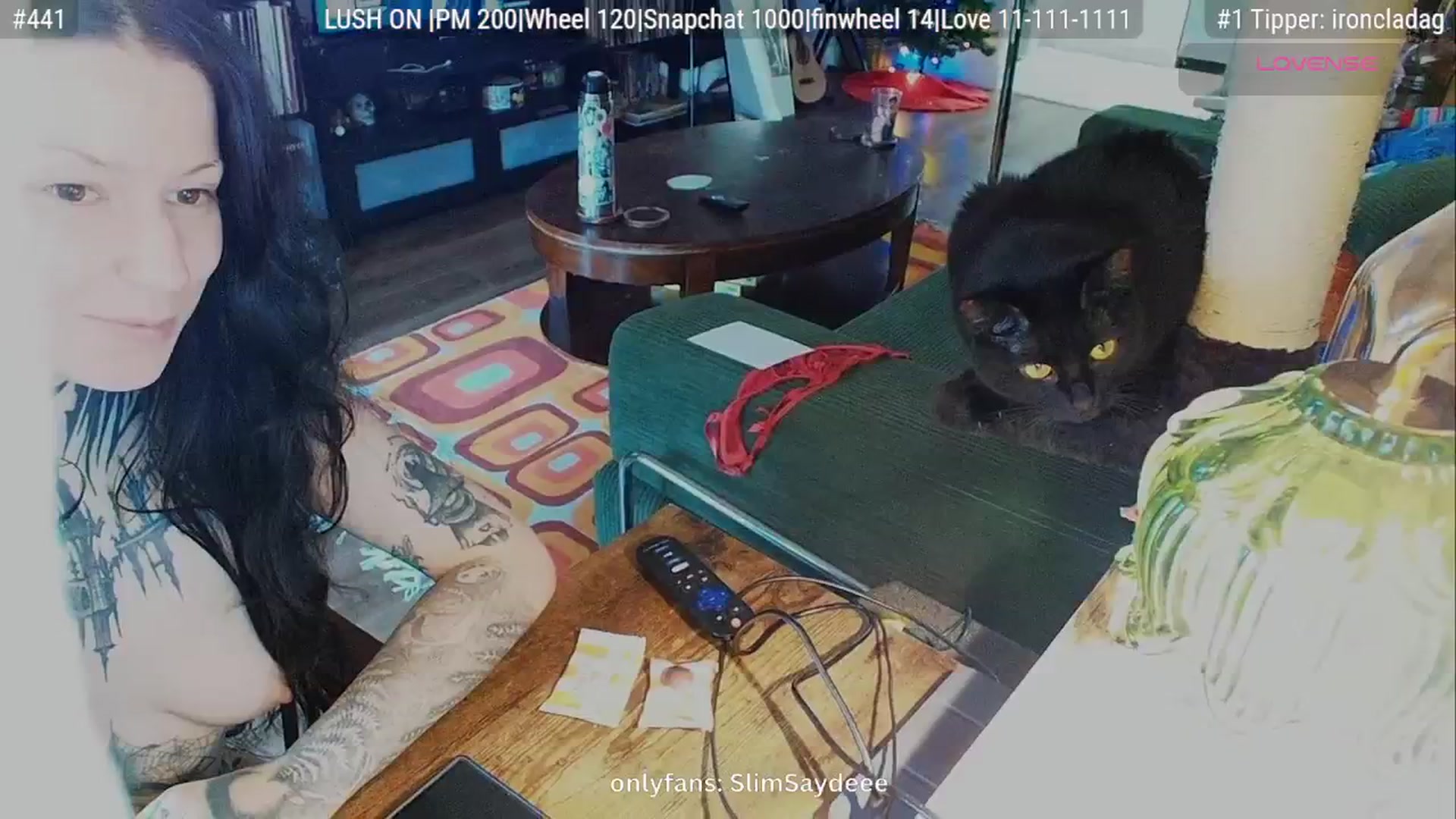 Gallery image thumbnail from slimsaydeee's myfreecams stream on, 11/15/2025, 18:42 image 16 of 20