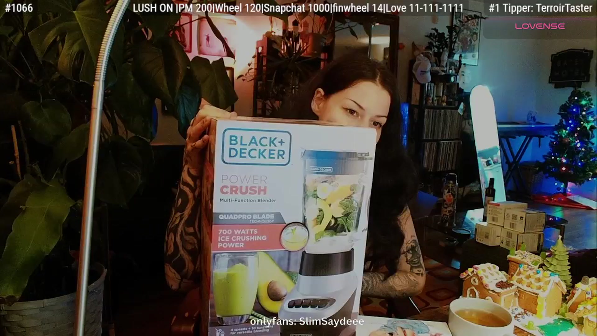 Gallery image thumbnail from slimsaydeee's myfreecams stream on, 12/26/2025, 05:39 image 18 of 20