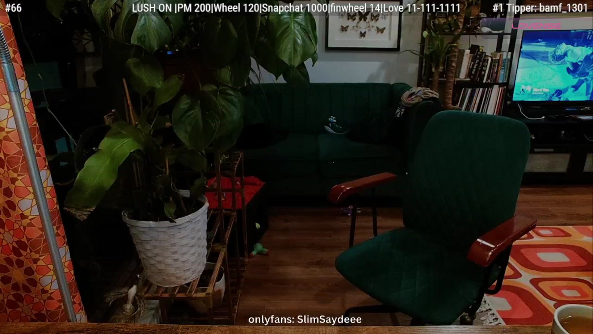 Gallery image thumbnail from slimsaydeee's myfreecams stream on, 01/08/2026, 05:03 image 9 of 20