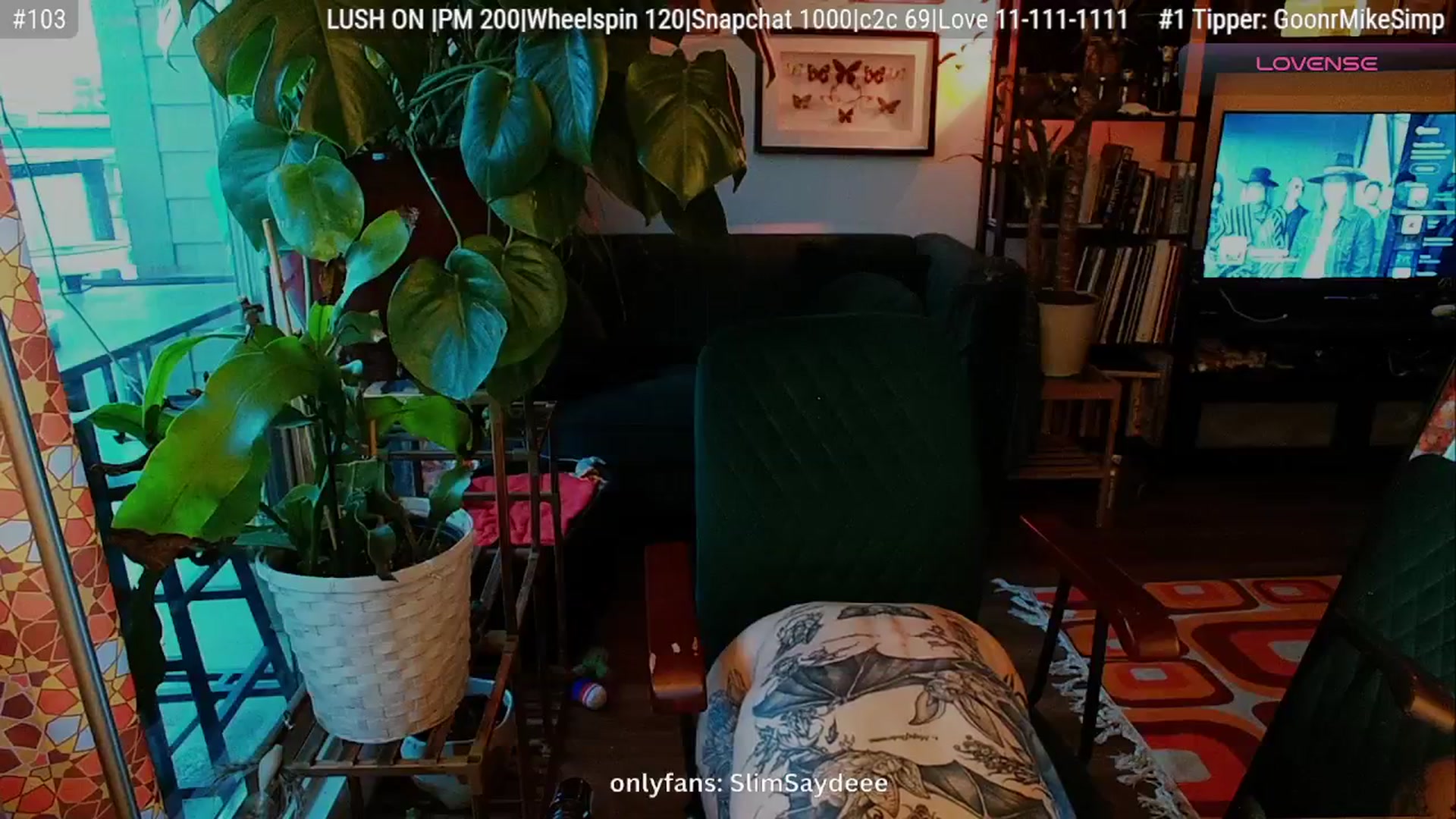 Gallery image thumbnail from slimsaydeee's myfreecams stream on, 01/12/2026, 19:12 image 17 of 20