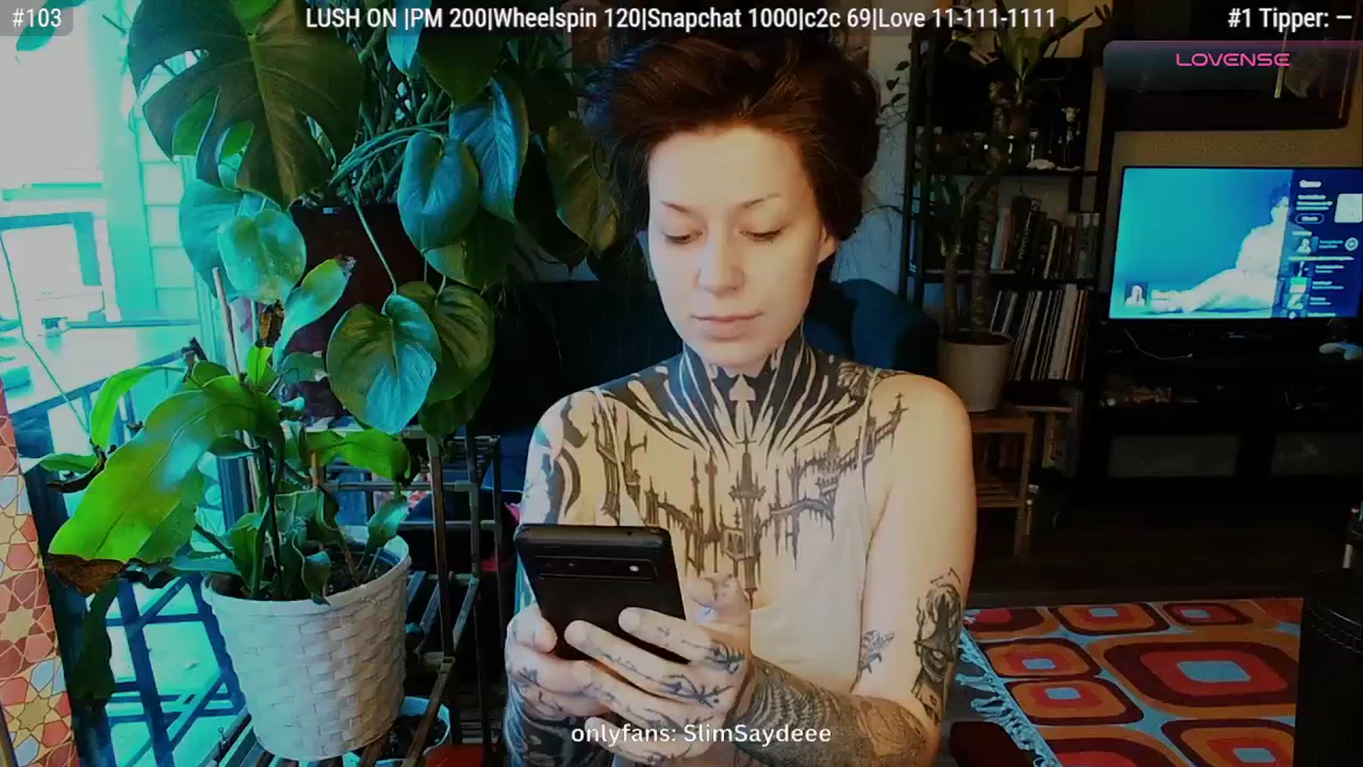 Gallery image thumbnail from slimsaydeee's myfreecams stream on, 01/13/2026, 18:38 image 2 of 20