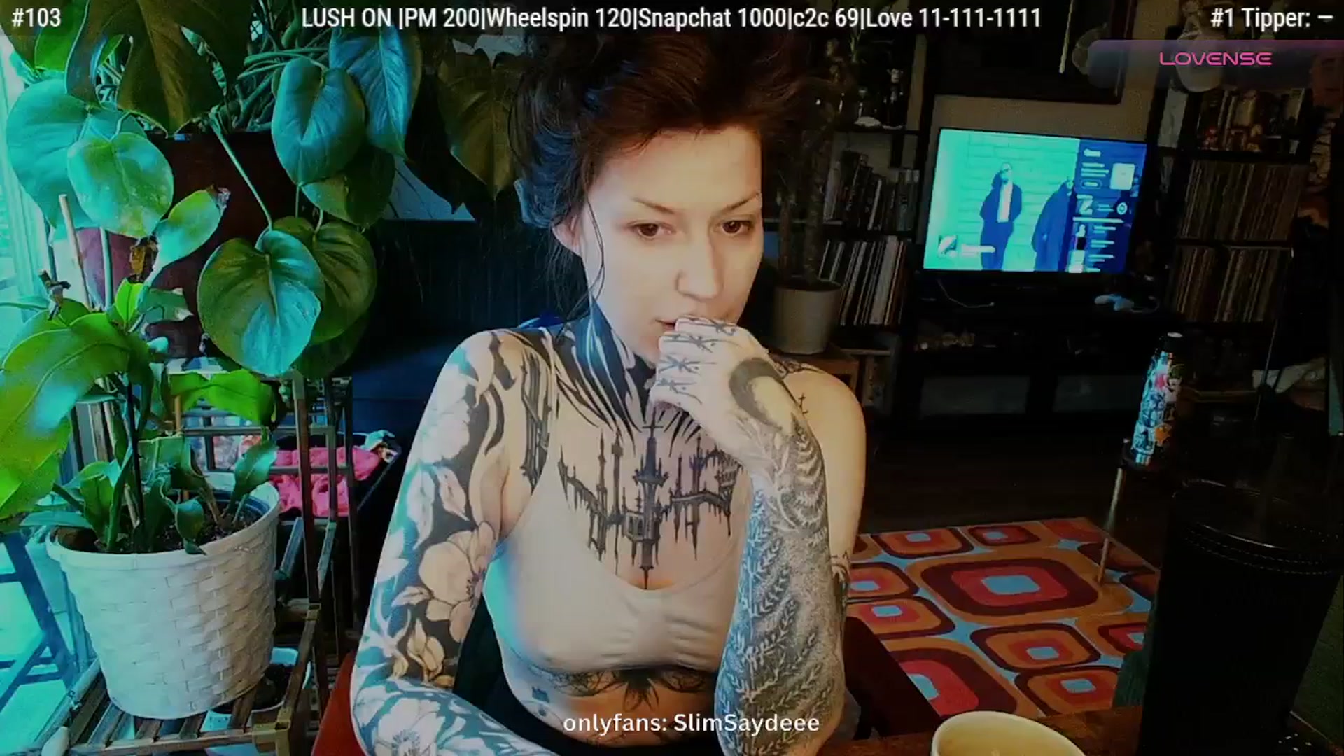 Gallery image thumbnail from slimsaydeee's myfreecams stream on, 01/13/2026, 18:38 image 4 of 20