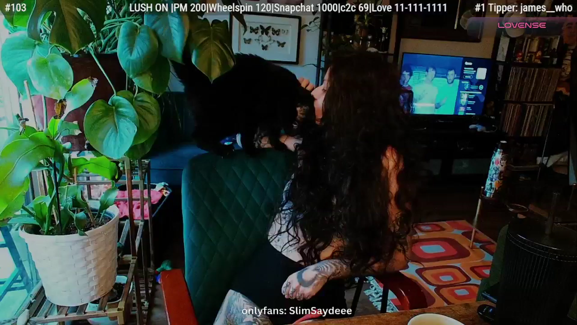 Gallery image thumbnail from slimsaydeee's myfreecams stream on, 01/13/2026, 18:38 image 13 of 20