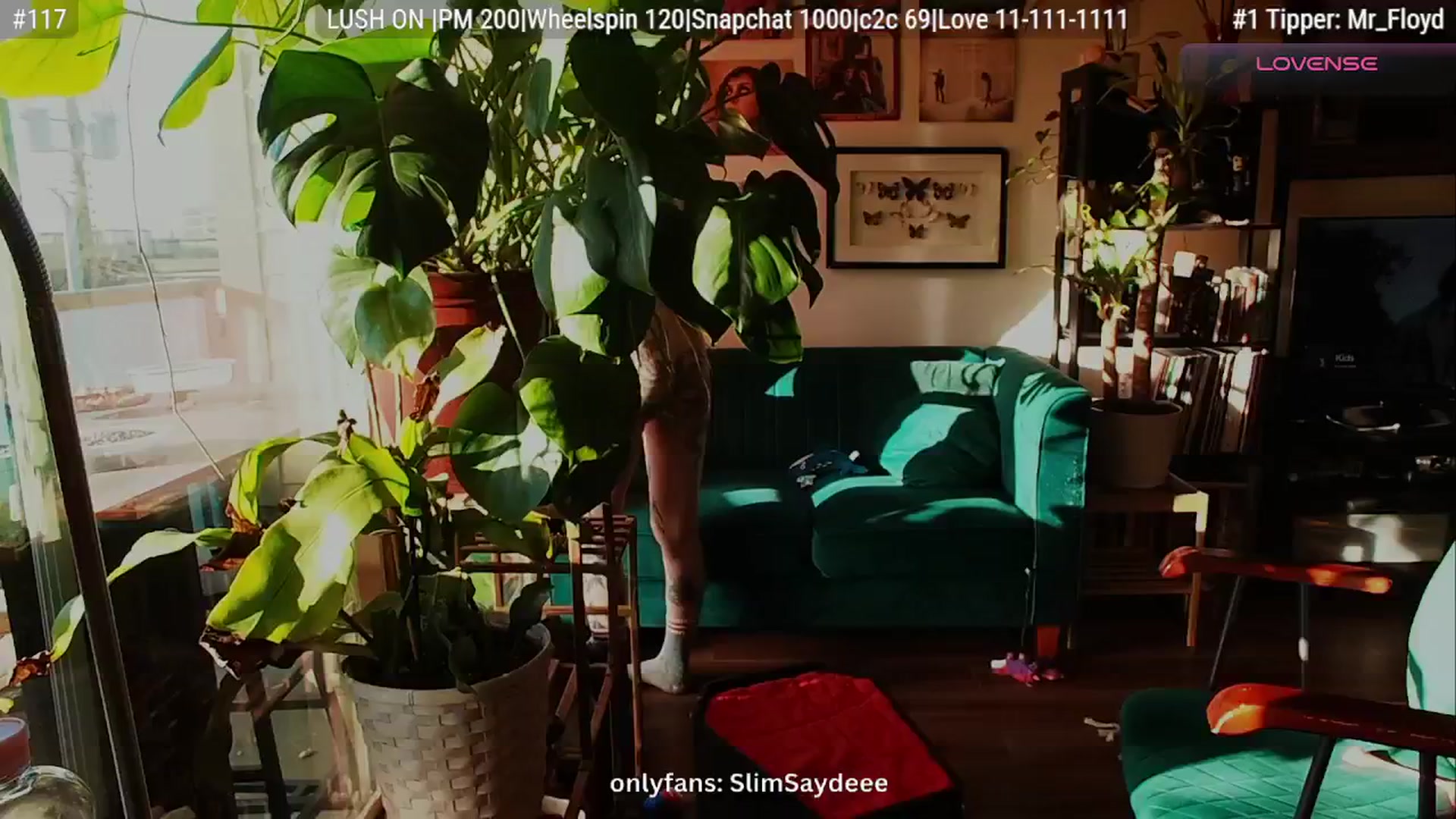Gallery image thumbnail from slimsaydeee's myfreecams stream on, 01/15/2026, 18:52 image 19 of 20