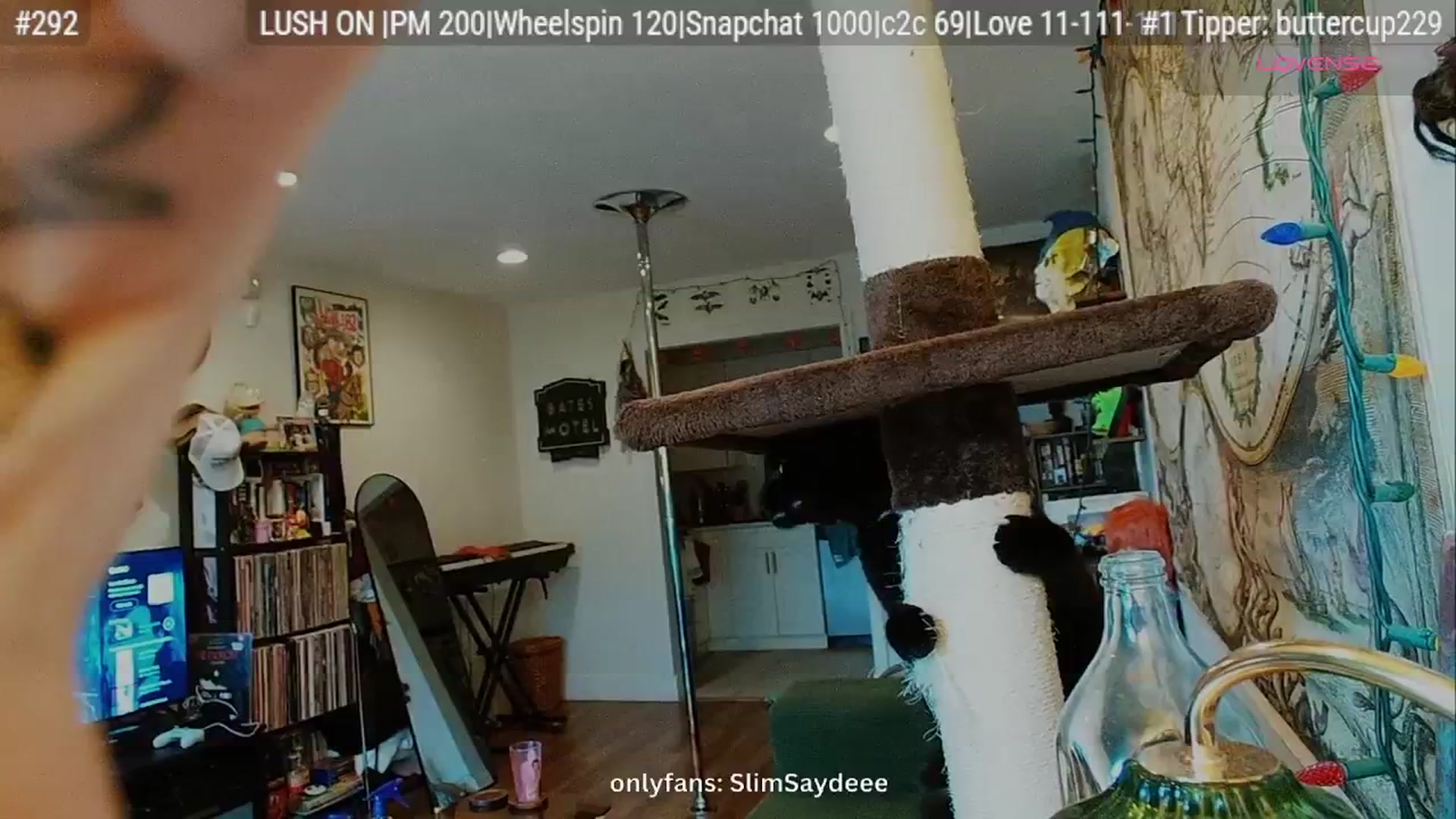 Gallery image thumbnail from slimsaydeee's myfreecams stream on, 01/31/2026, 18:53 image 12 of 20