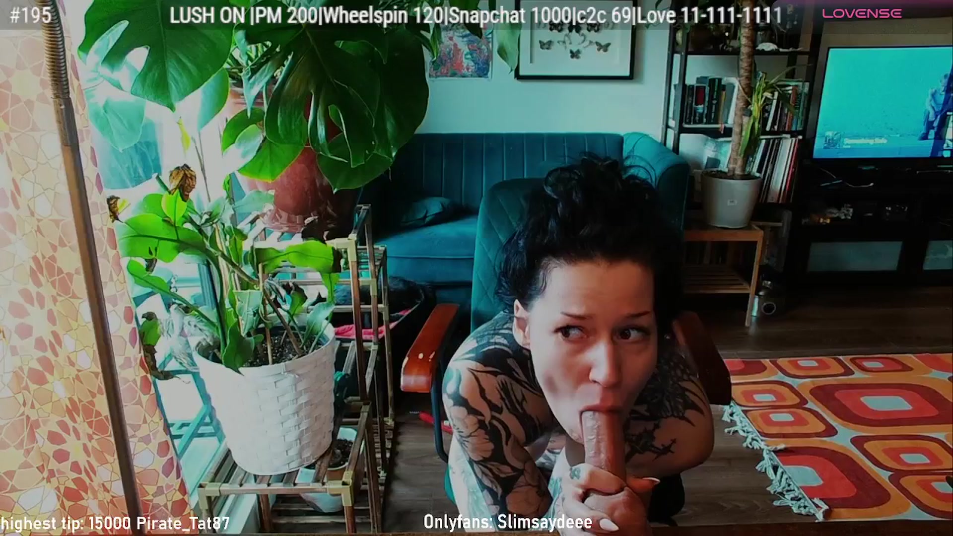 Gallery image thumbnail from slimsaydeee's myfreecams stream on, 02/12/2026, 18:10 image 20 of 20