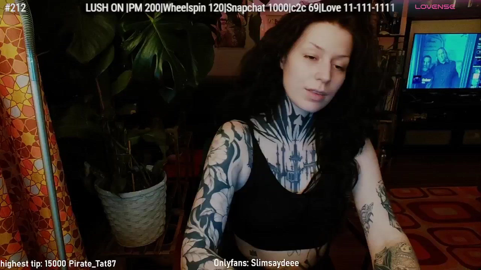 Gallery image thumbnail from slimsaydeee's myfreecams stream on, 02/13/2026, 03:53 image 14 of 20