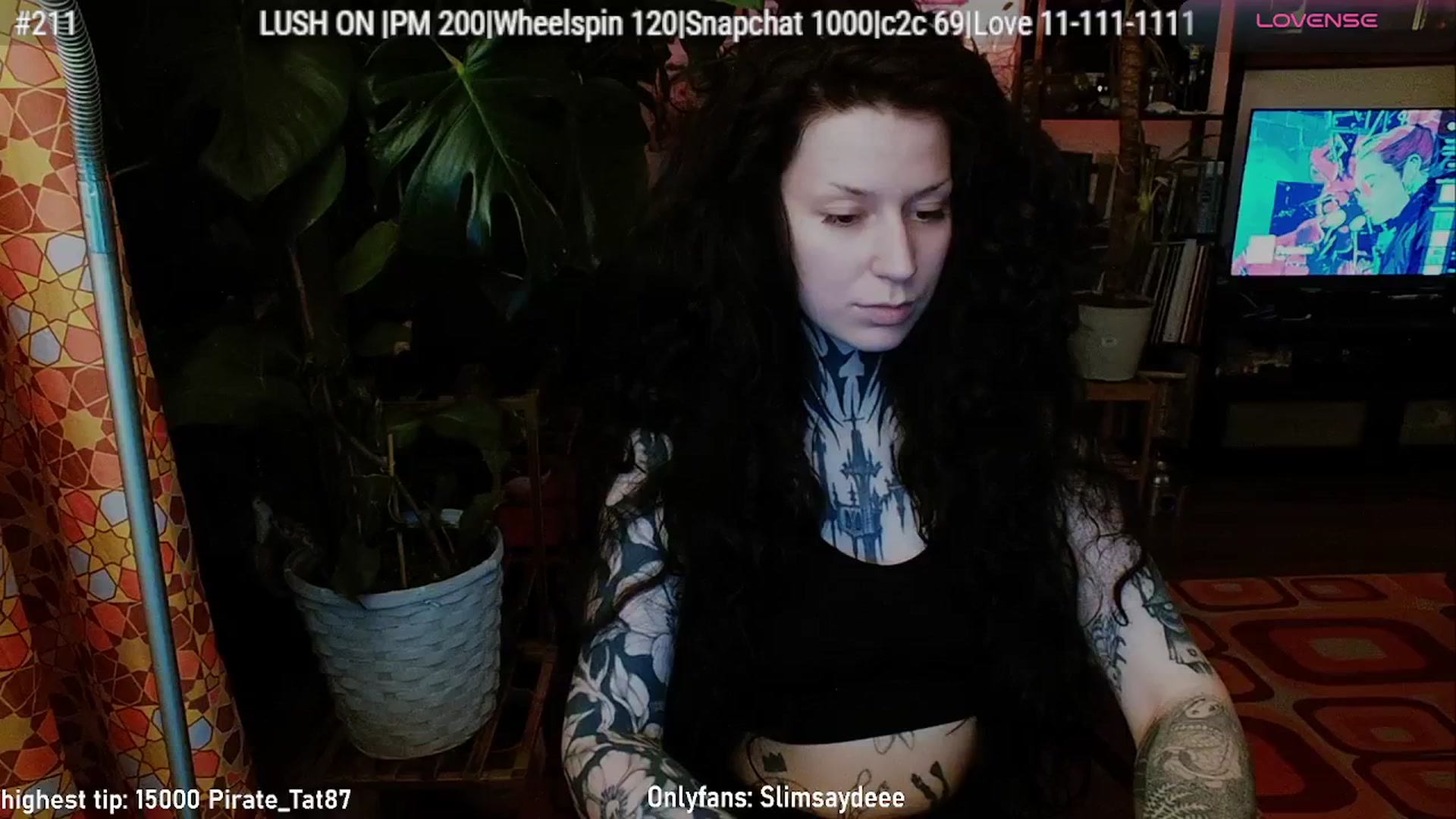 Gallery image thumbnail from slimsaydeee's myfreecams stream on, 02/13/2026, 03:53 image 7 of 20