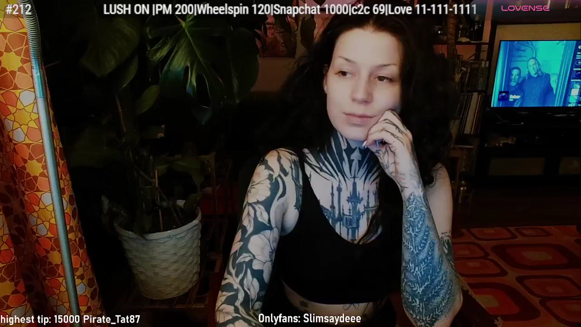 Gallery image thumbnail from slimsaydeee's myfreecams stream on, 02/13/2026, 03:53 image 13 of 20