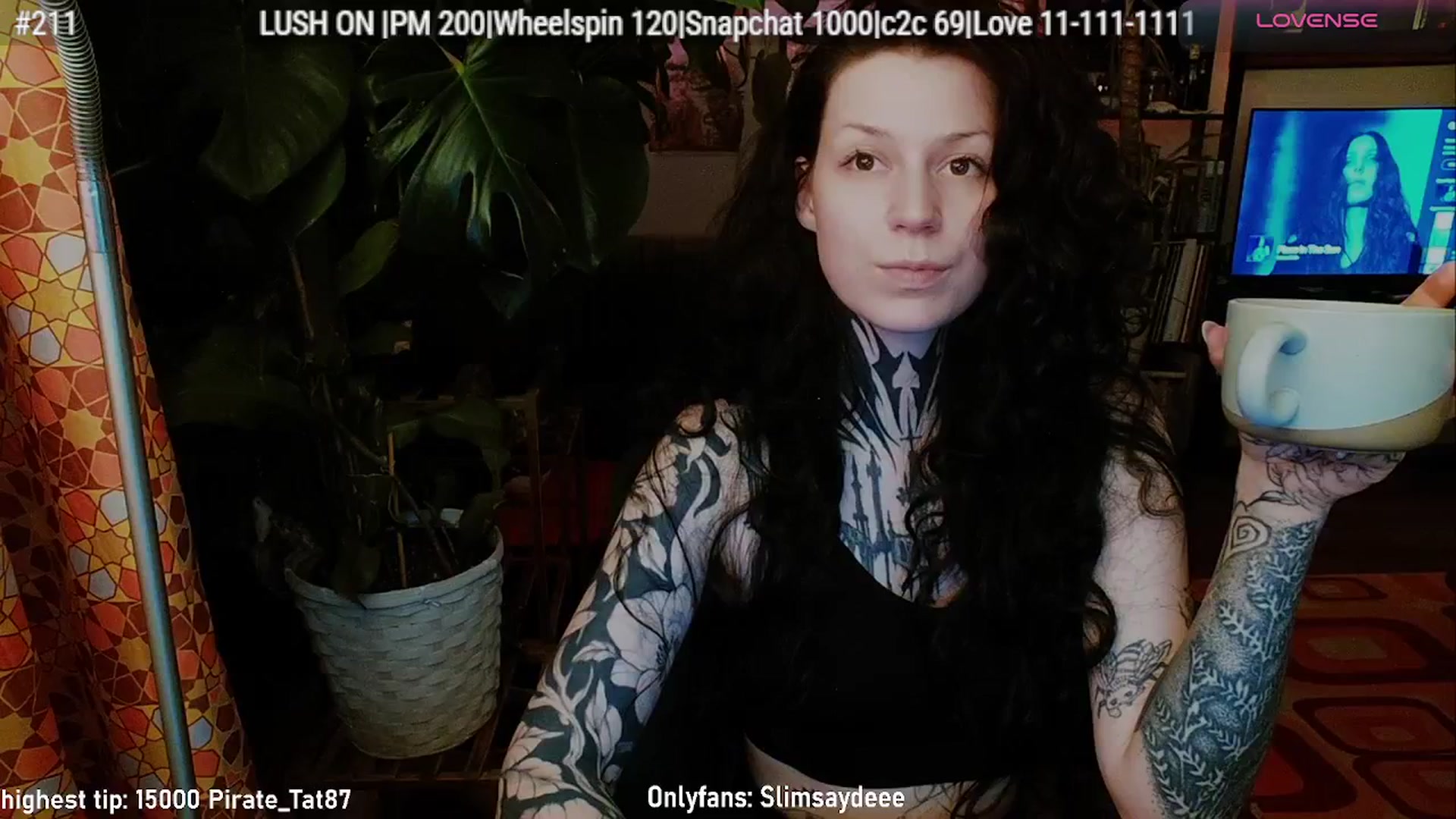 Gallery image thumbnail from slimsaydeee's myfreecams stream on, 02/13/2026, 03:53 image 5 of 20