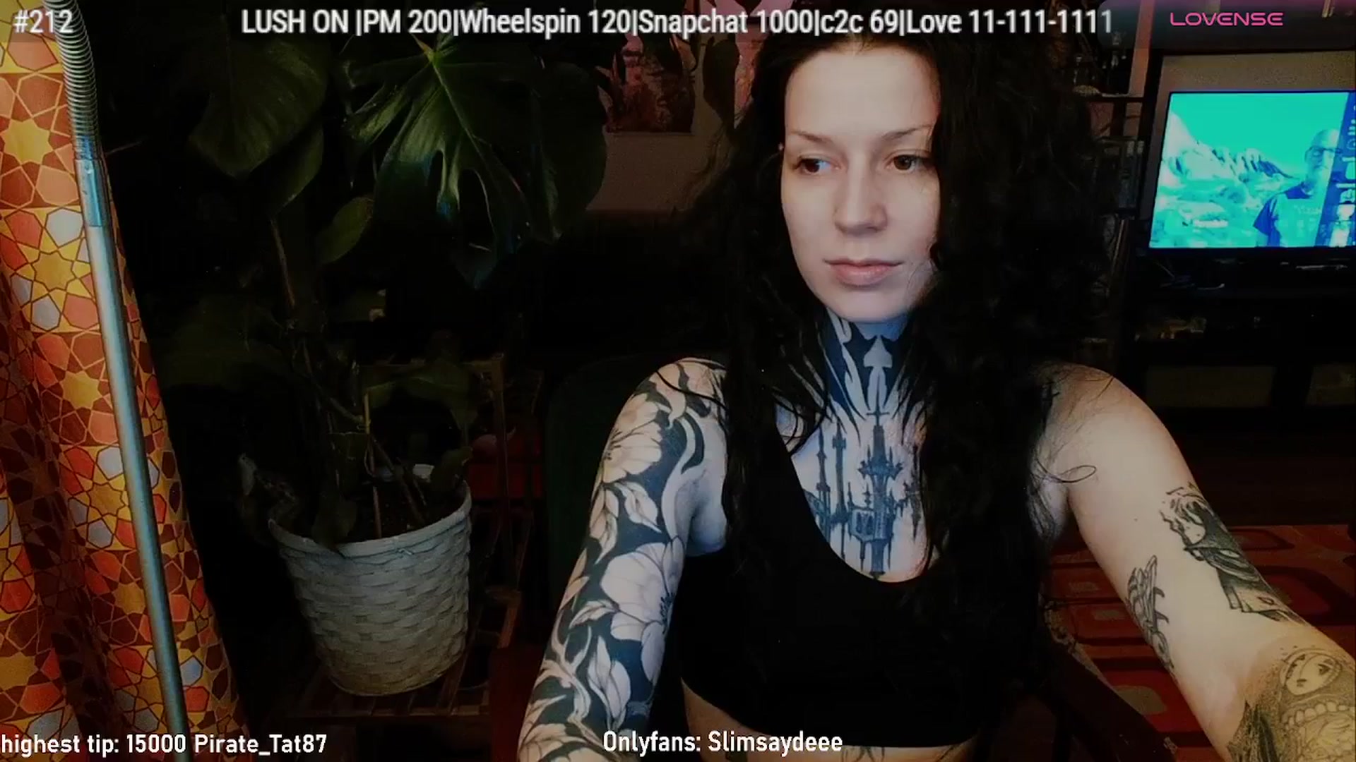 Gallery image thumbnail from slimsaydeee's myfreecams stream on, 02/13/2026, 03:53 image 20 of 20