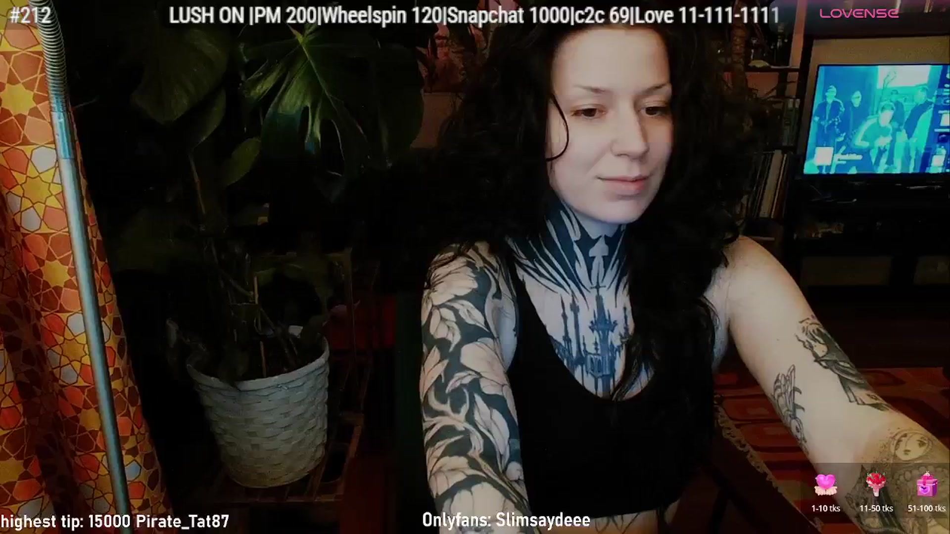 Gallery image thumbnail from slimsaydeee's myfreecams stream on, 02/13/2026, 03:53 image 12 of 20