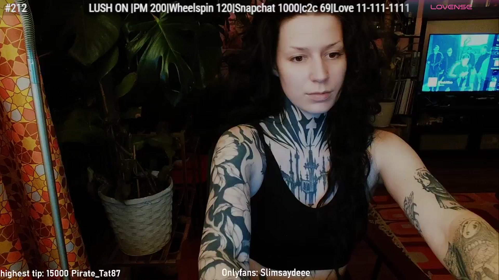 Gallery image thumbnail from slimsaydeee's myfreecams stream on, 02/13/2026, 03:53 image 11 of 20