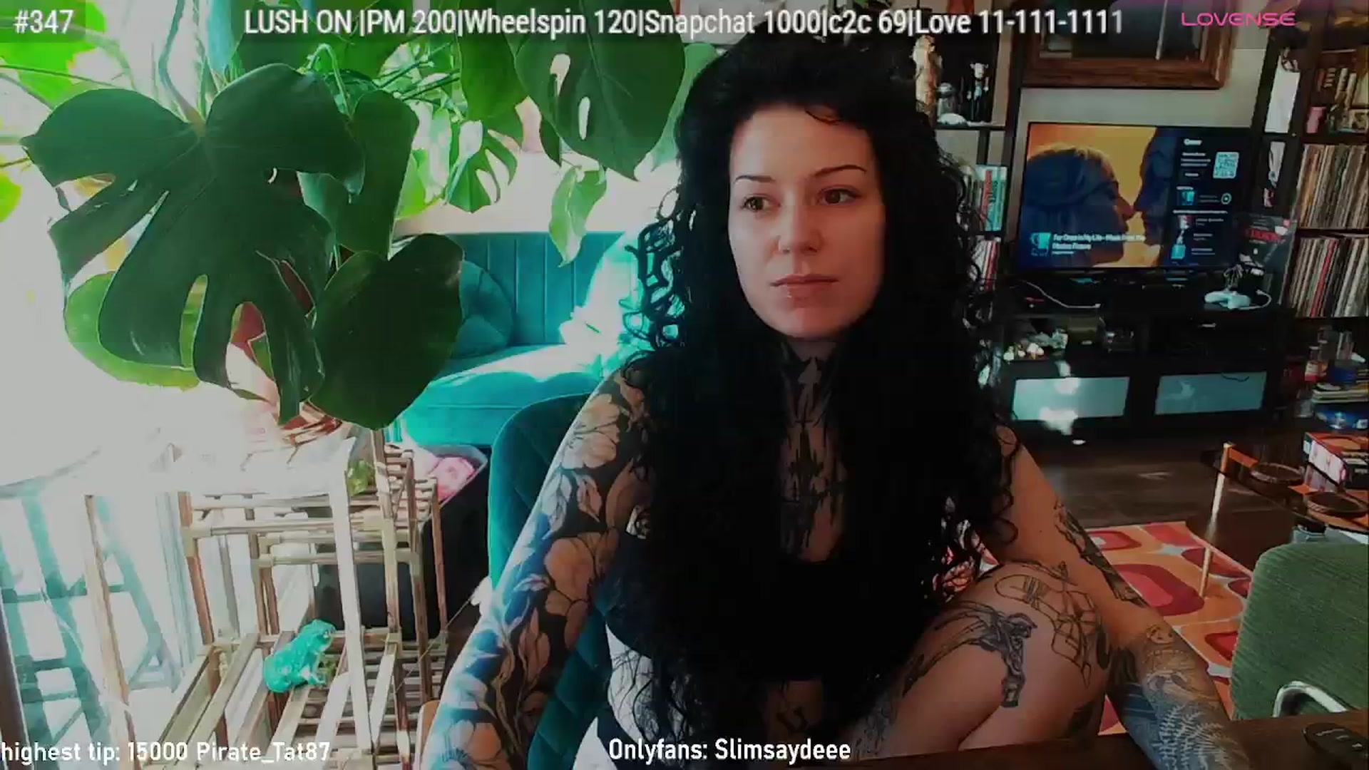 Gallery image thumbnail from slimsaydeee's myfreecams stream on, 02/24/2026, 18:04 image 17 of 20