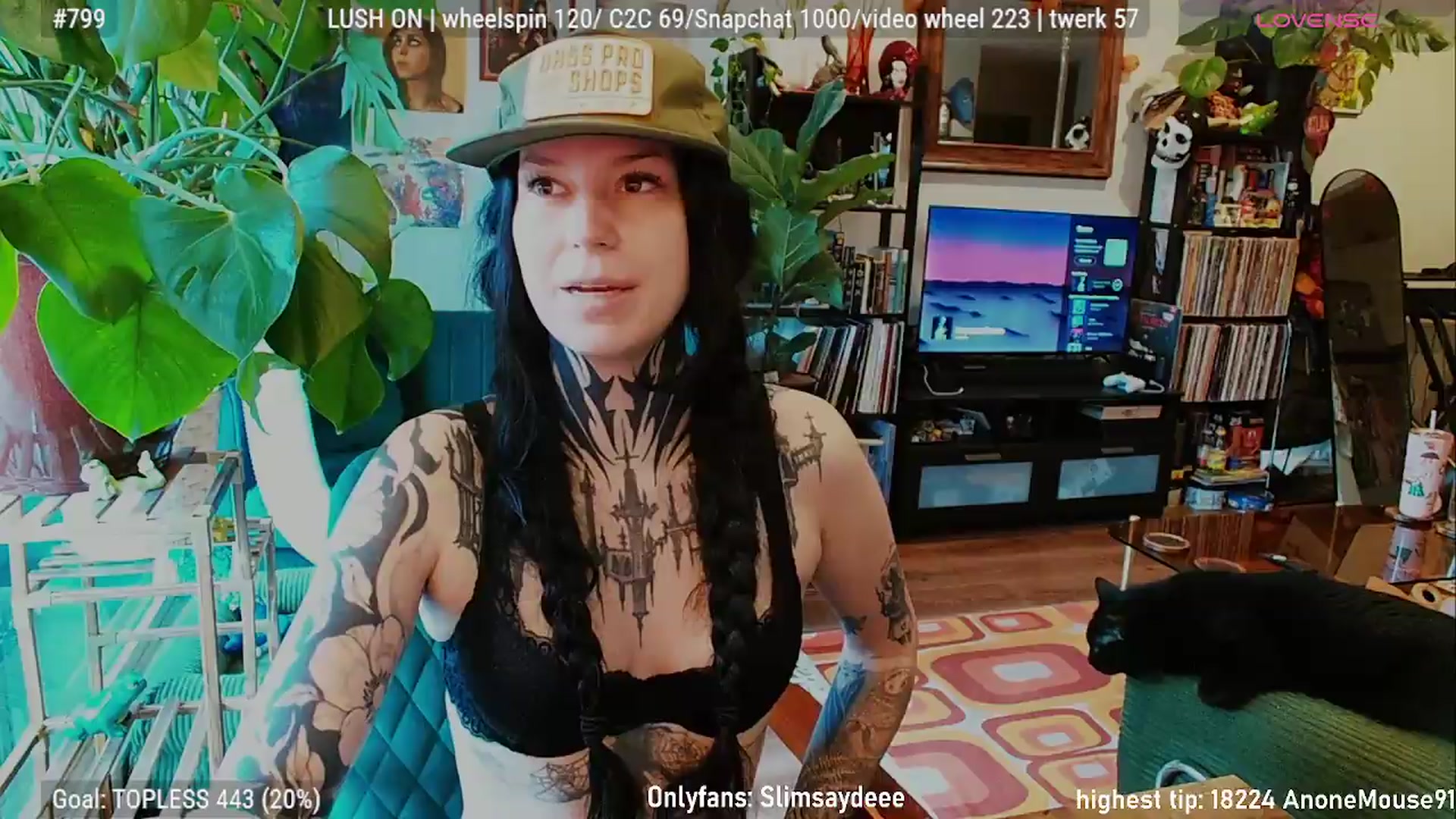 Gallery image thumbnail from slimsaydeee's myfreecams stream on, 07/28/2026, 17:46 image 4 of 20