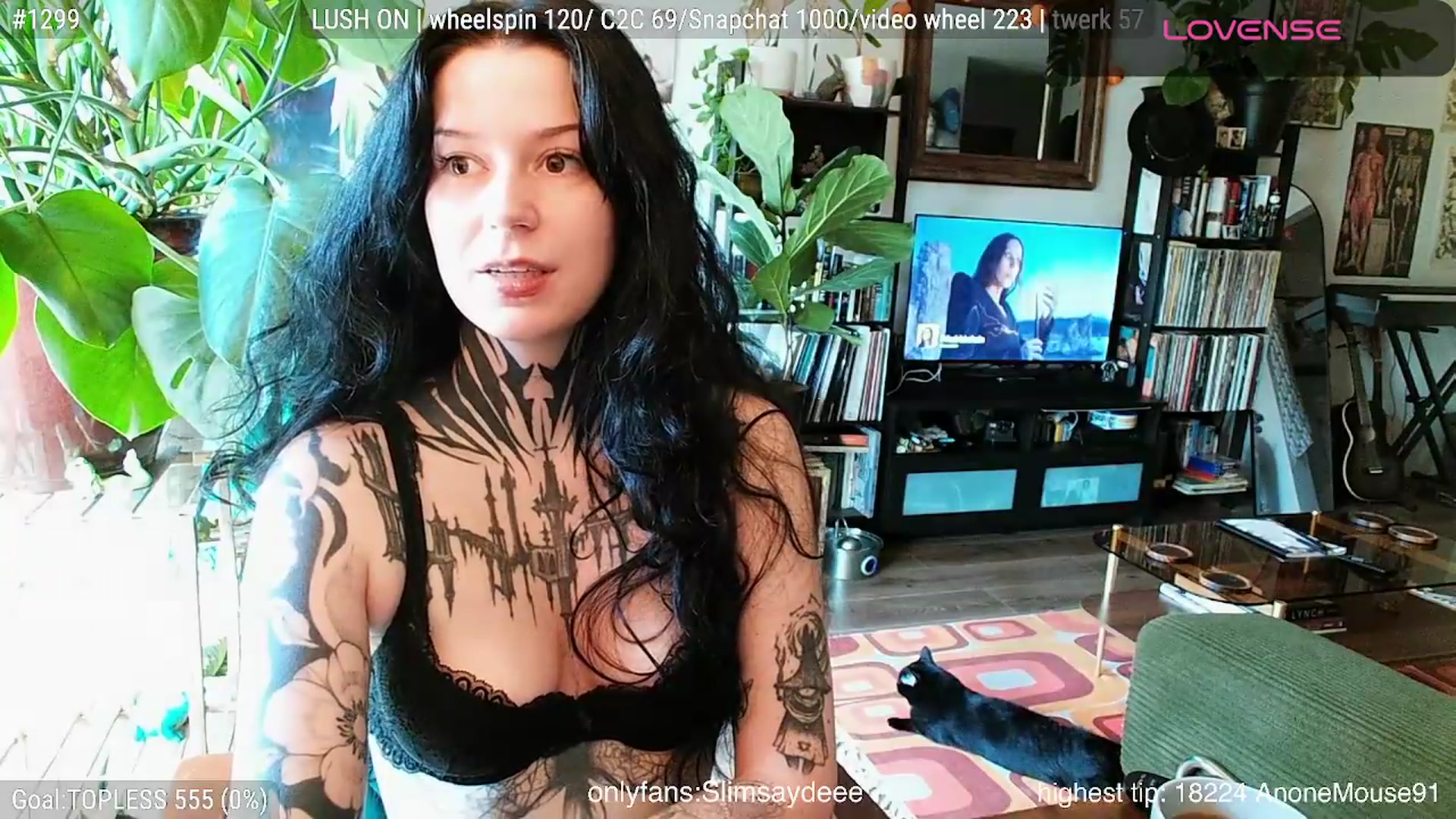 Gallery image thumbnail from slimsaydeee's myfreecams stream on, 08/25/2026, 16:25 image 16 of 20