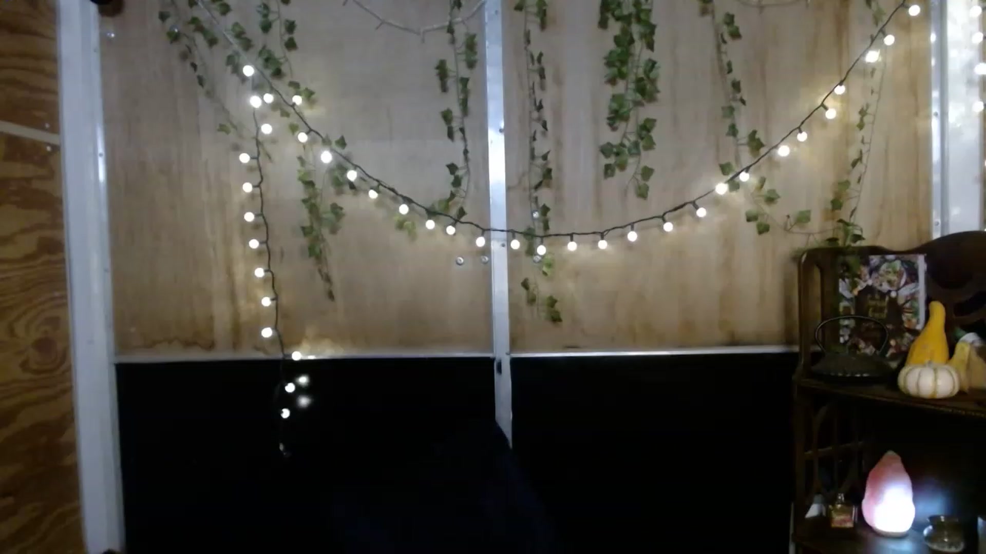 Gallery image thumbnail from slothyfoxy's myfreecams stream on, 11/16/2022, 08:33 image 10 of 20